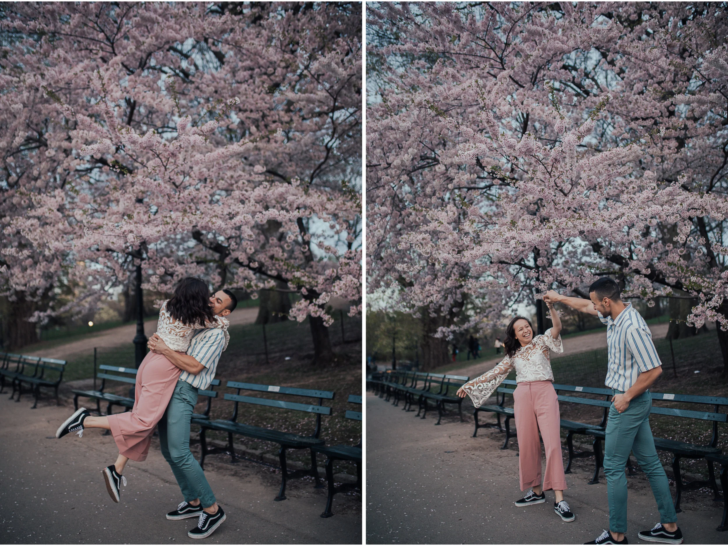 central_park_engagements.jpg