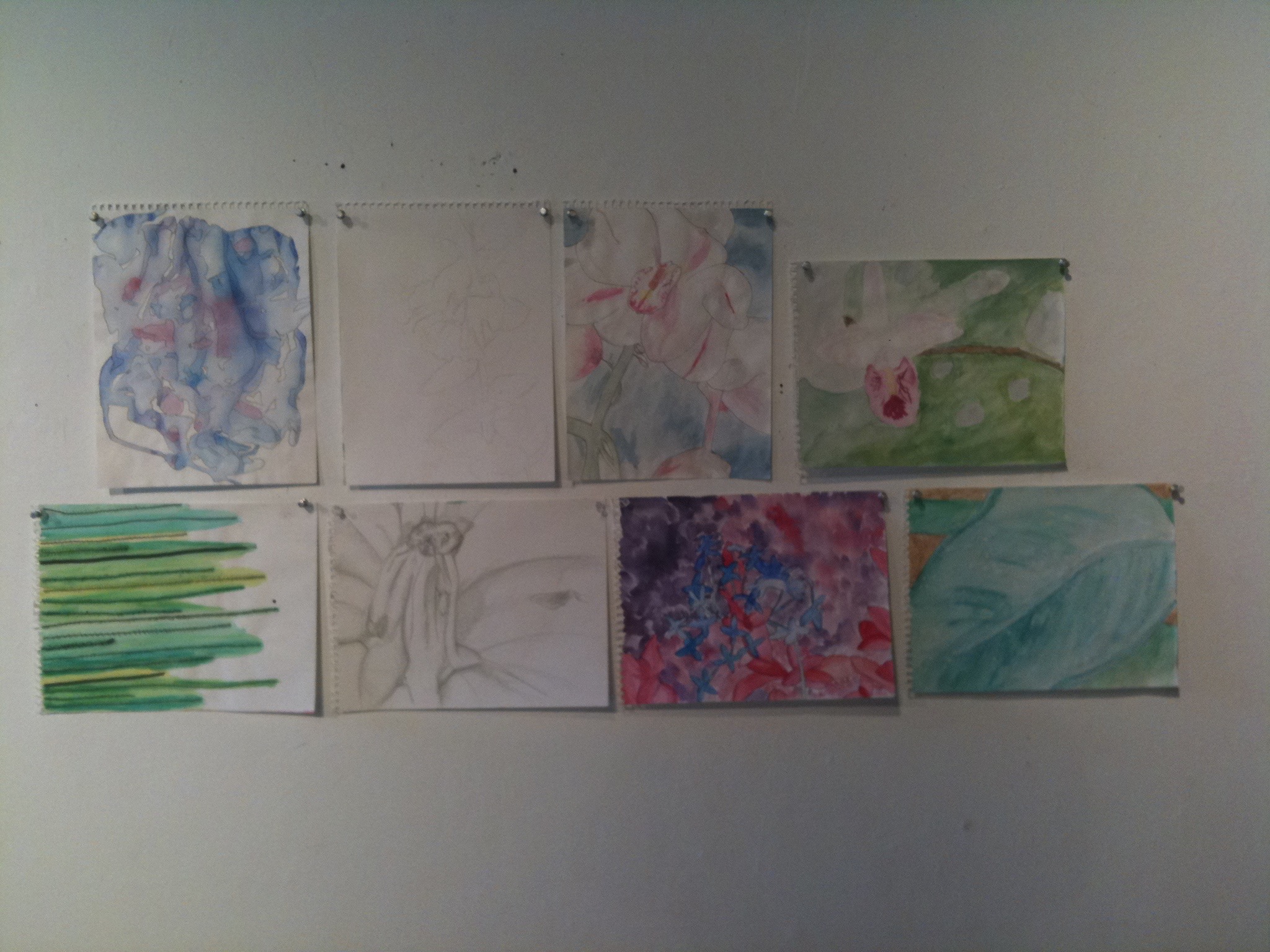 Same gallery, different class critique. These drawings/paintings were for my intermediate drawing class. I still love to draw and paint from nature today! 