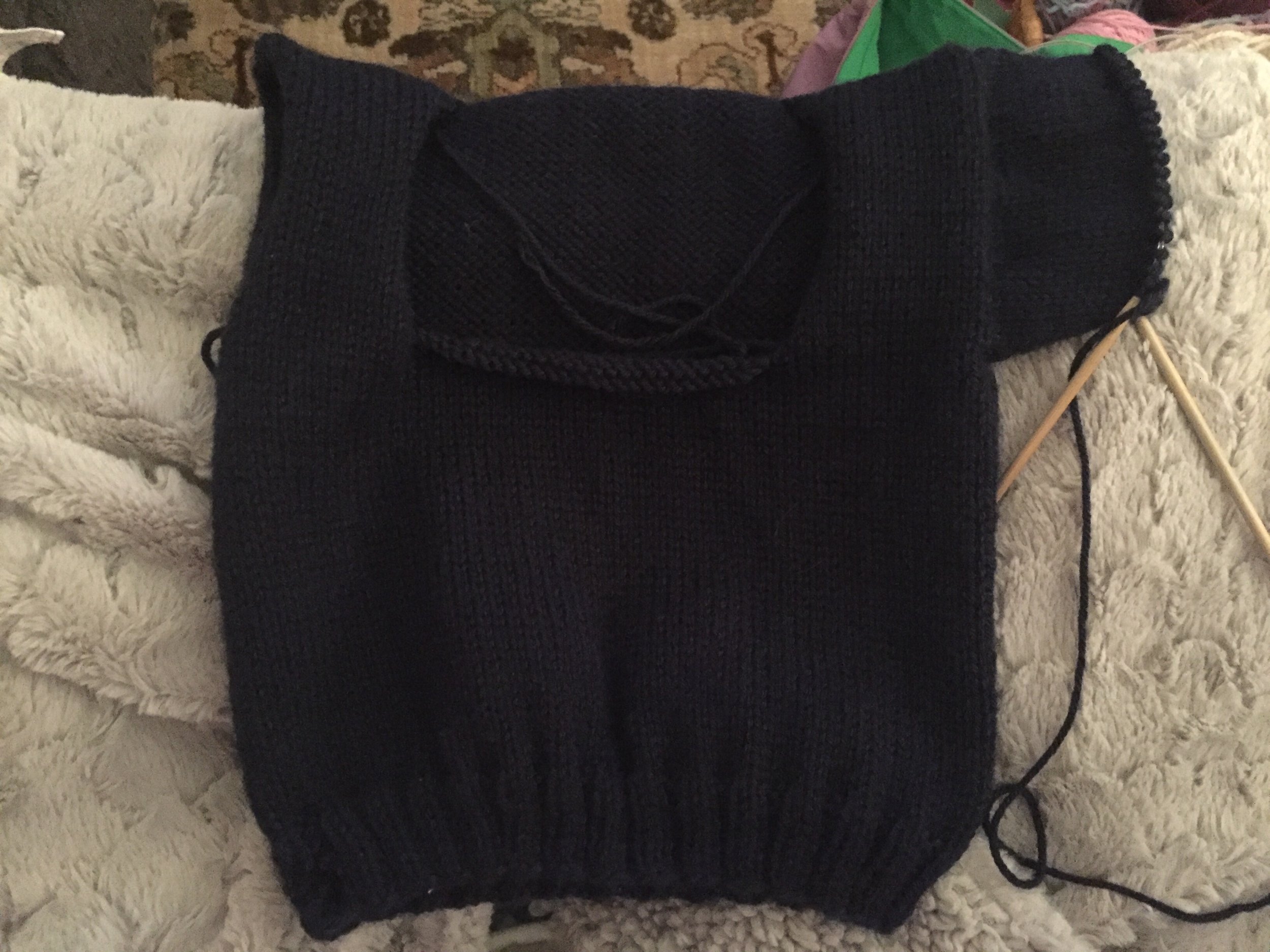 January 19- cute tiny sleeve!!!
