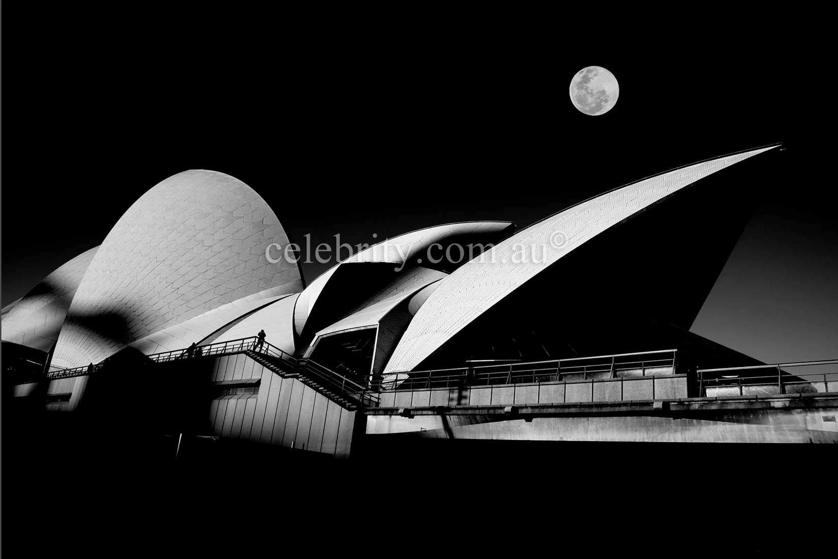Light & Curve Sydney Opera House