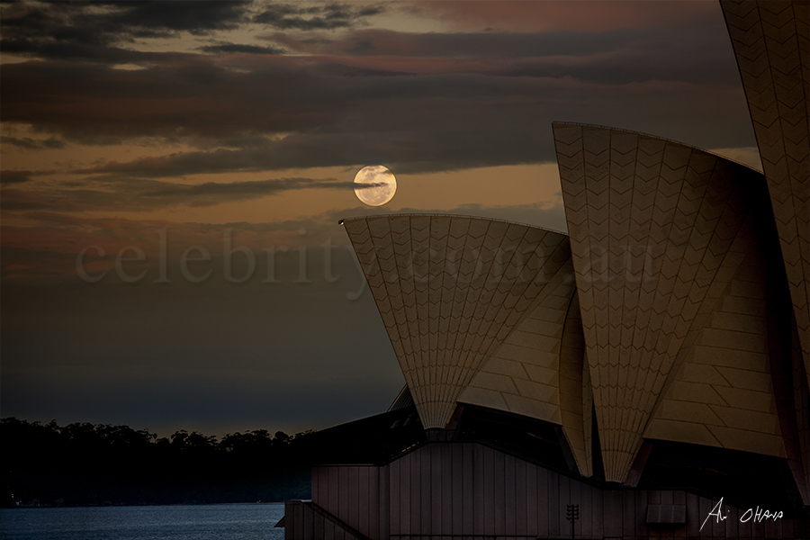 Supermoon over Sydney opera house 2016