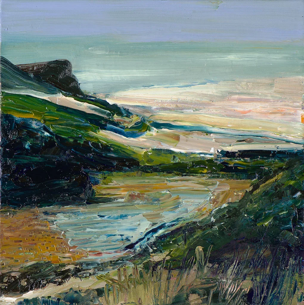 view from coyote ridge 