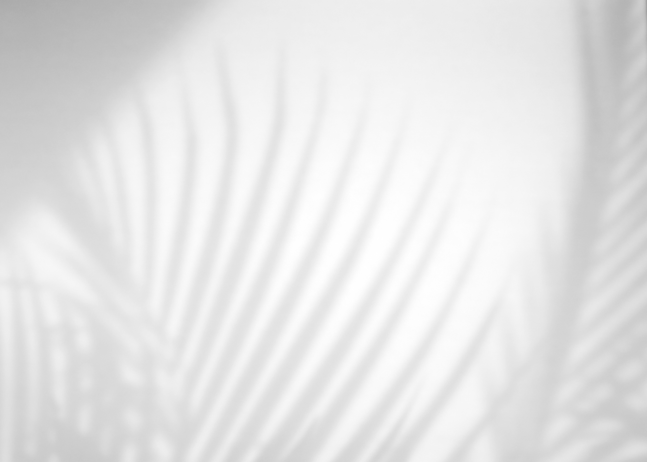 Website photos palm background .png