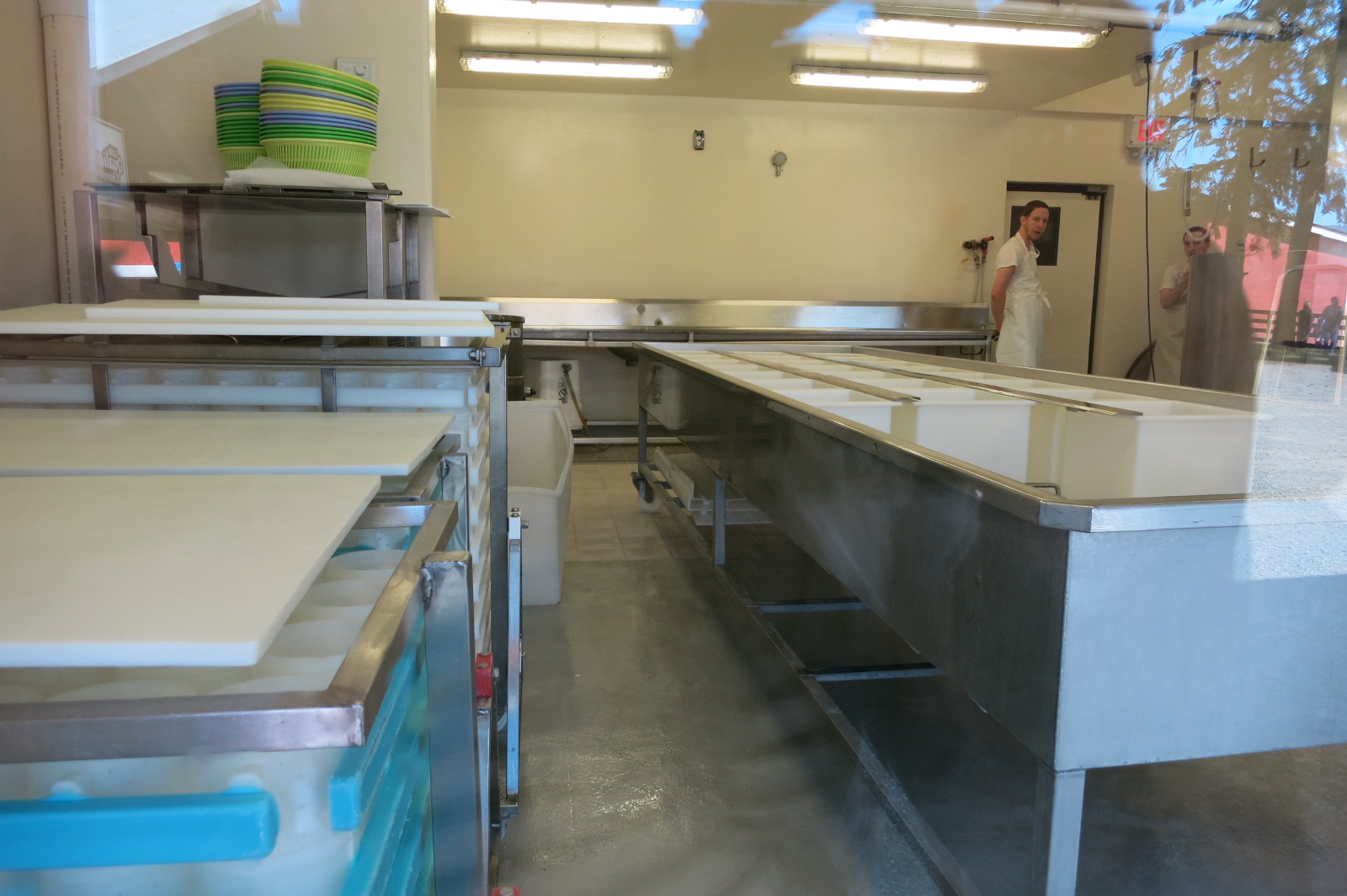 Making cheese.