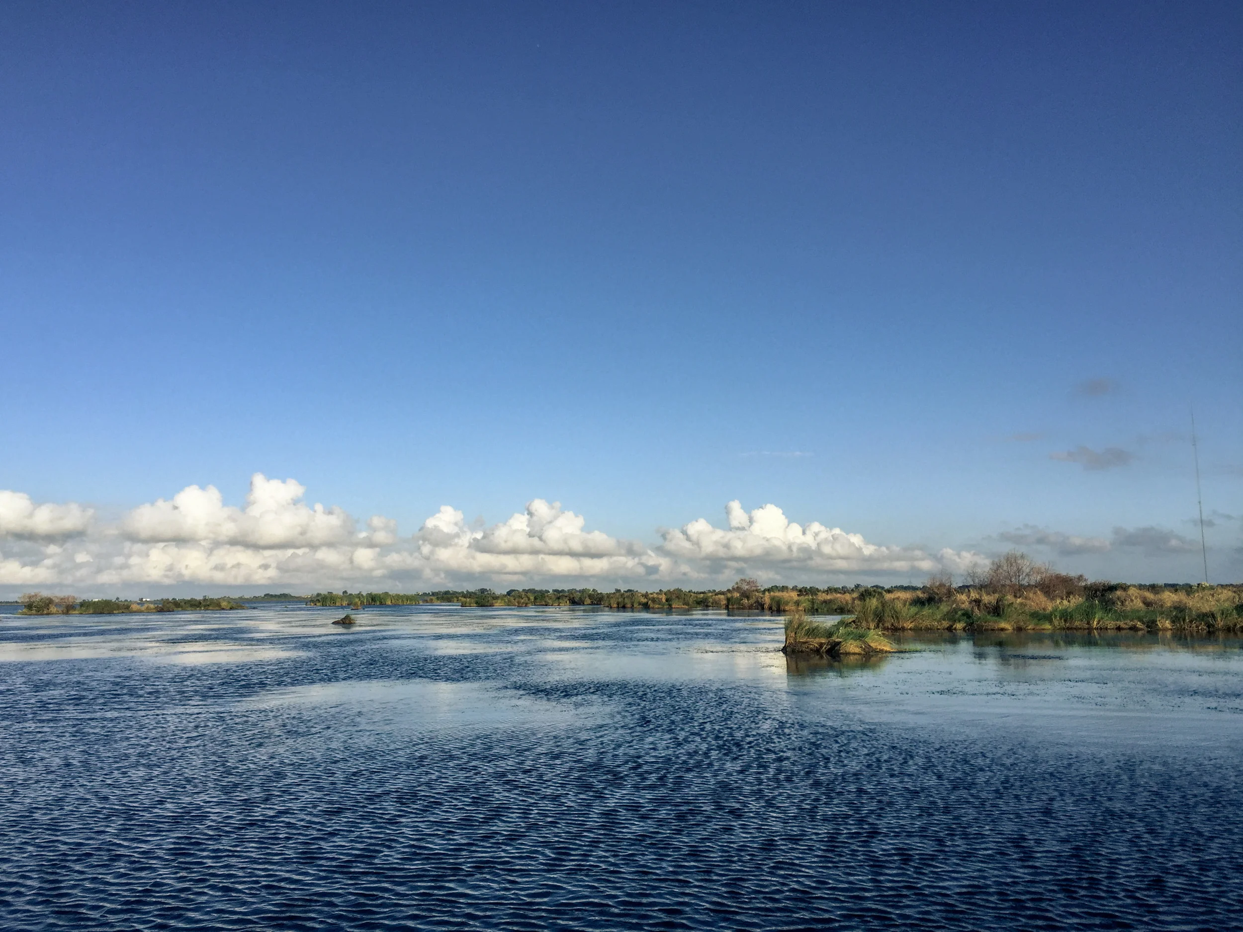 Can't deny that it is amazing to be able to be here 1 hour after leaving my house. Just another reason it's important to try to pay attention to our disappearing wetlands. 