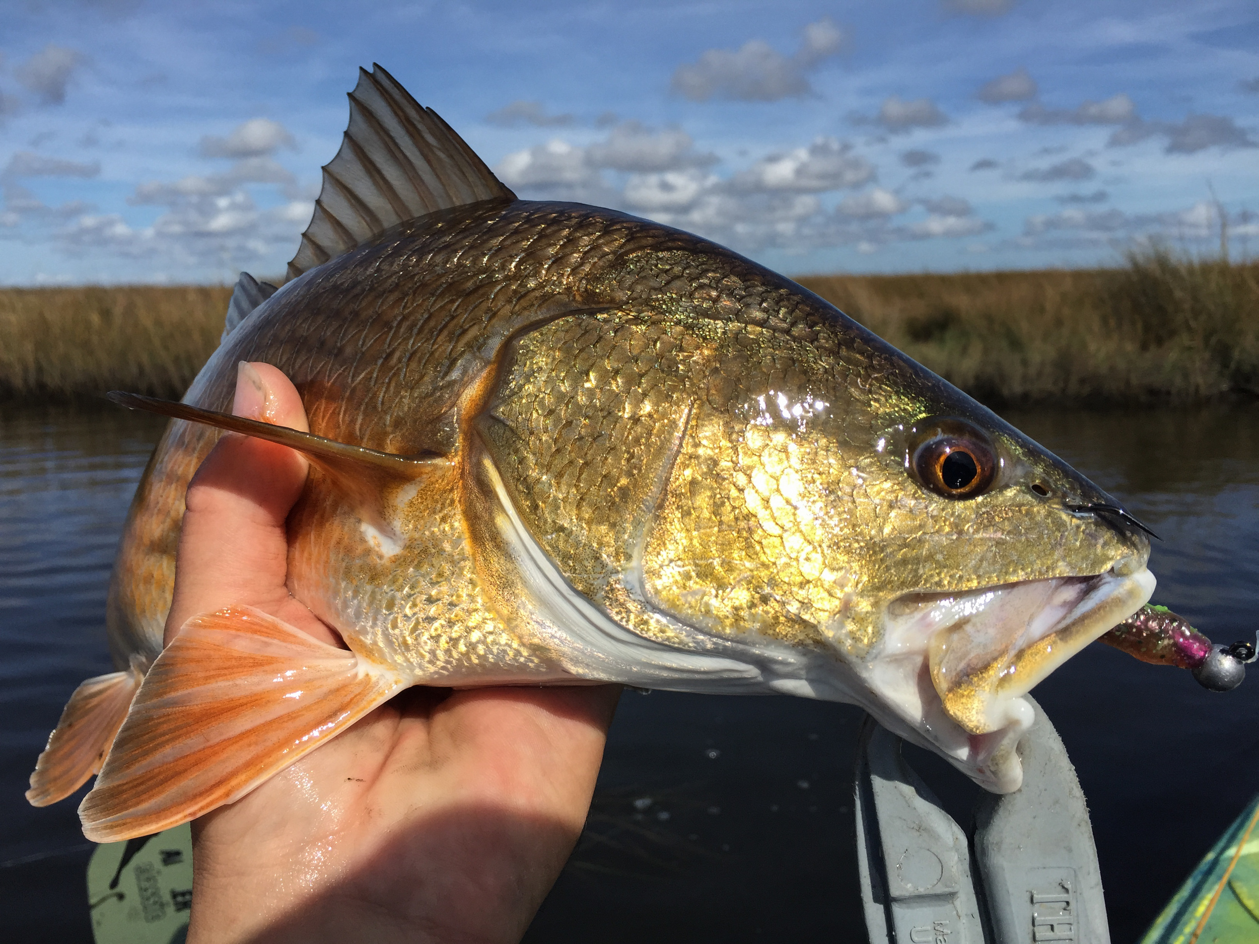 First red on an Egret soft plastic
