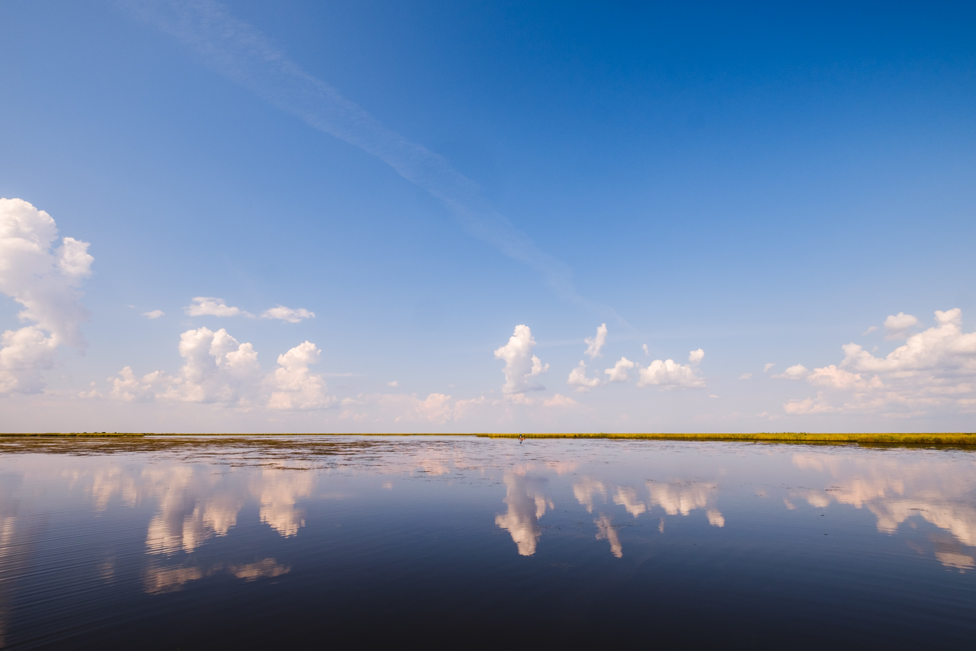 Water and reflections on the marsh, Scott Myers Photography