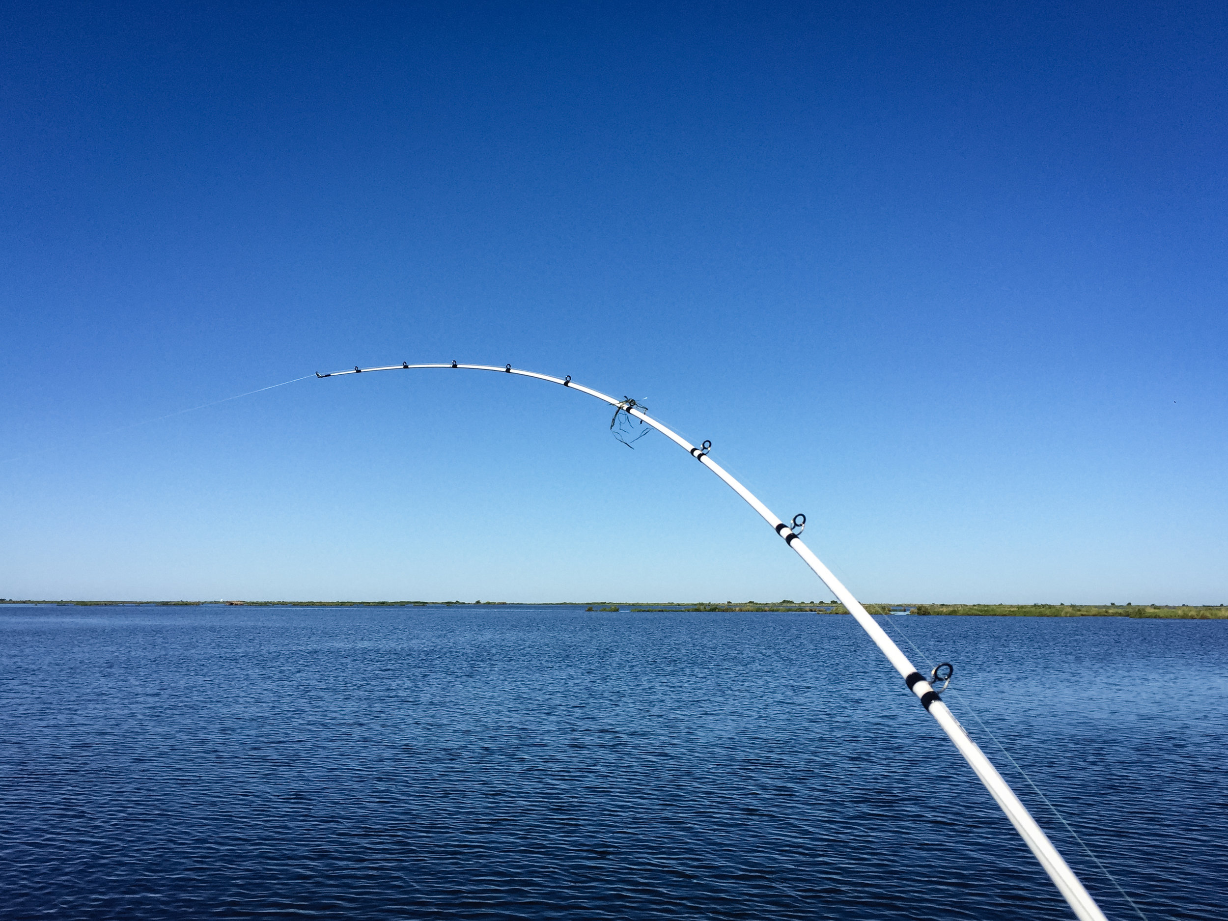 Good to get a pole bent again