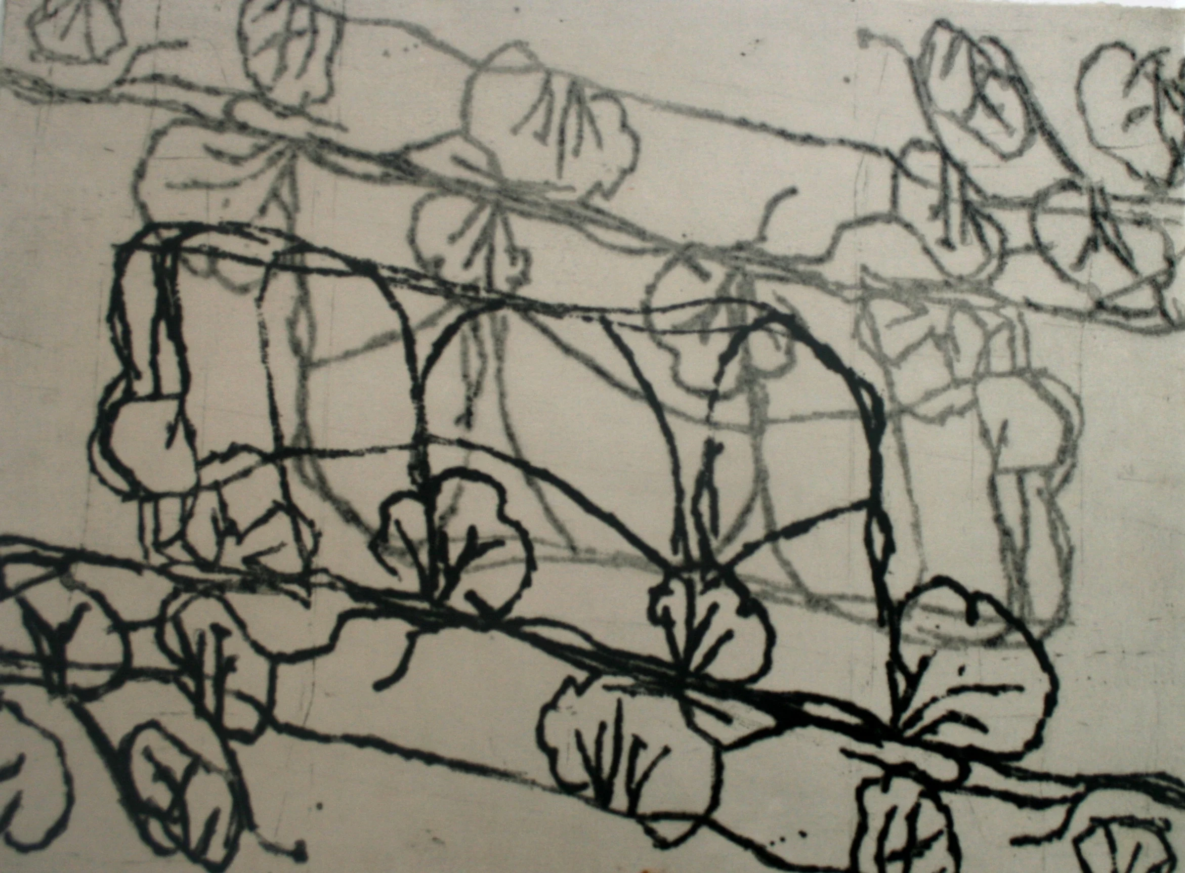 Alison Walbungara 39x 29cm.JPG