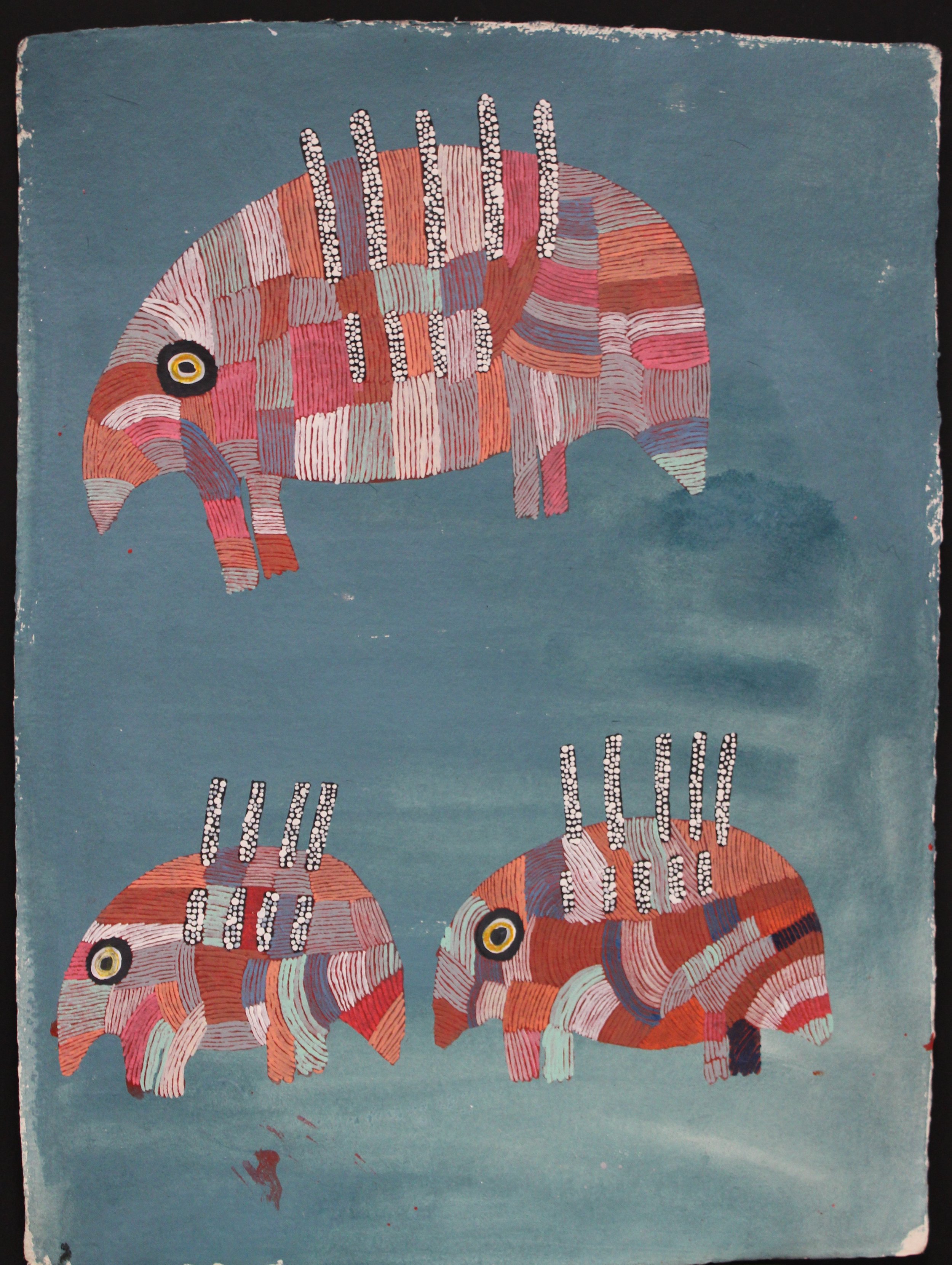 Three_ Echidnas_Dulice_Sharpe_2022.JPG