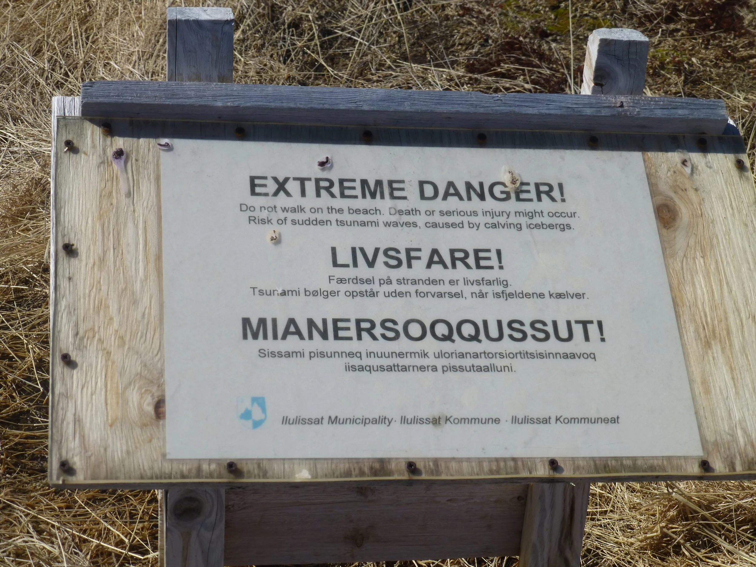 P1020140.JPG