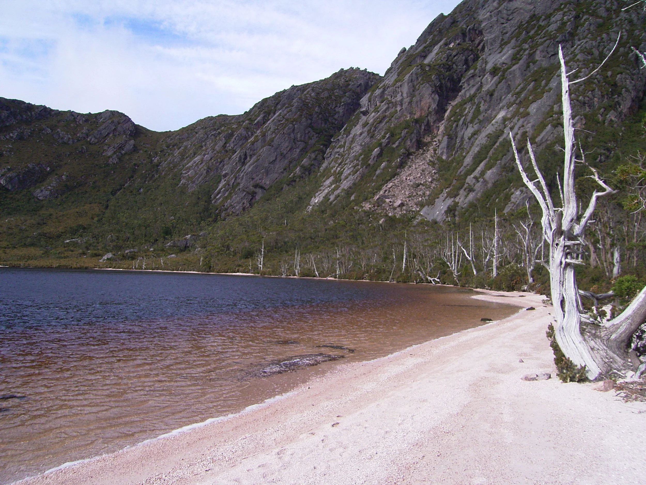 PINK SAND BEACH