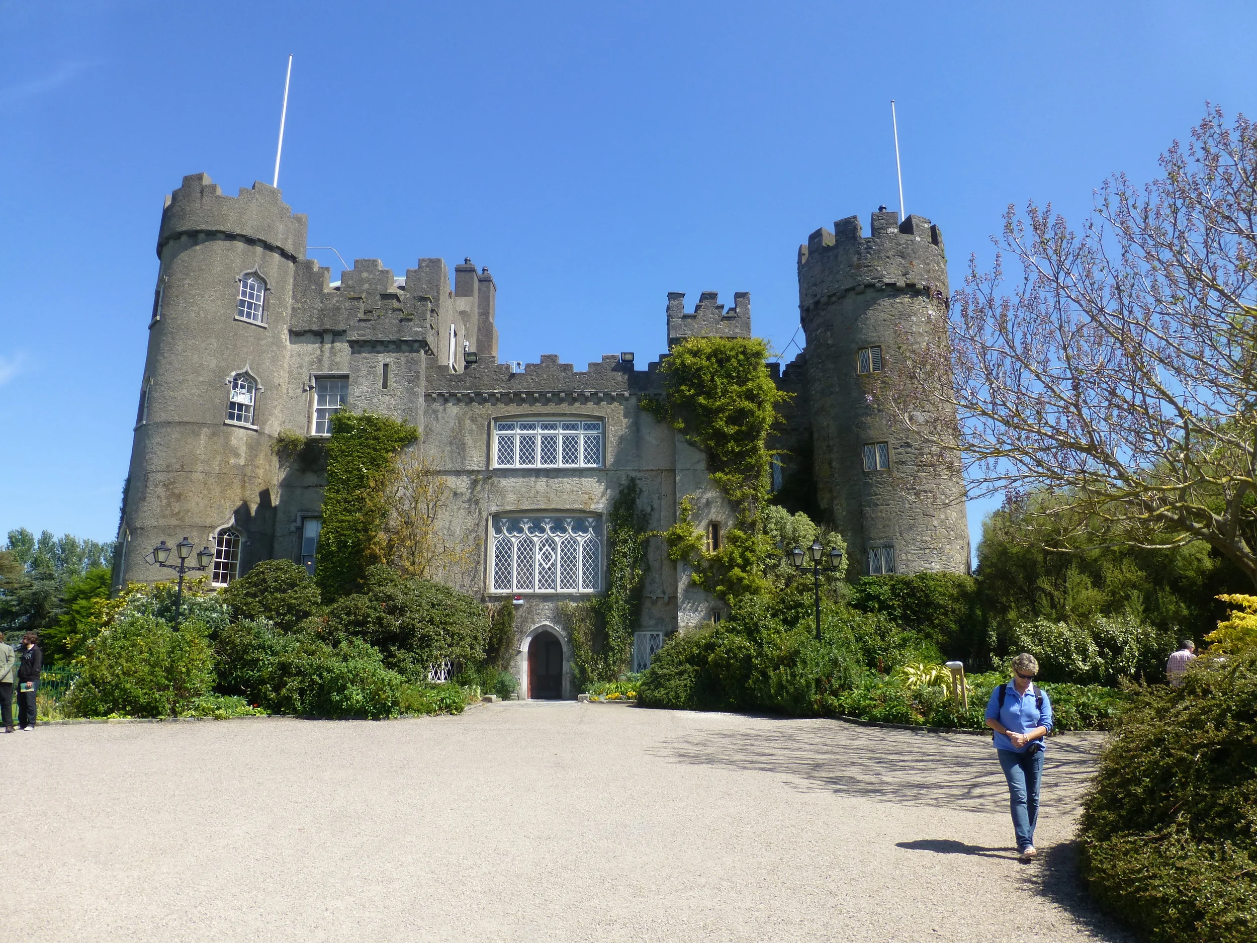 A Little Bit of Tasmania in Ireland