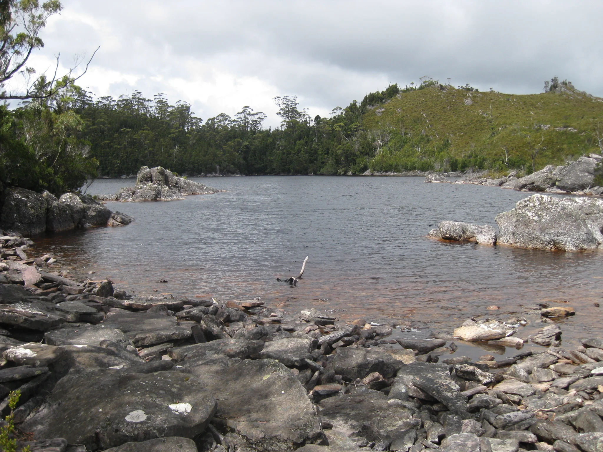 Lake Herbert