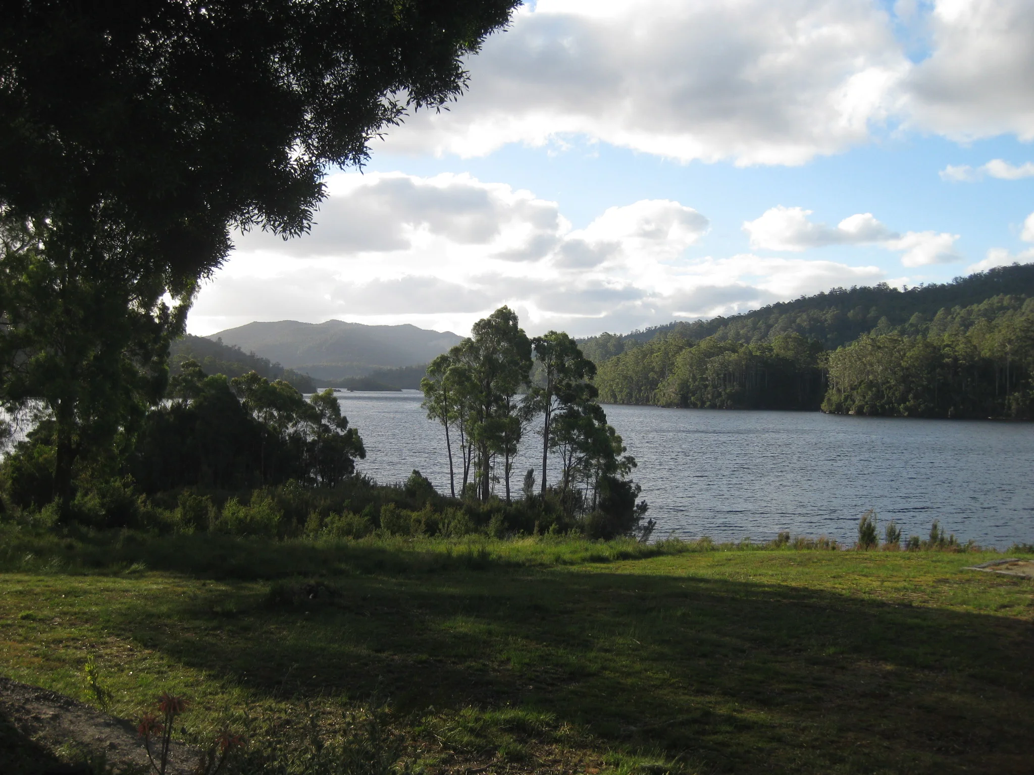 Back at Tullah on Lake Rosebery