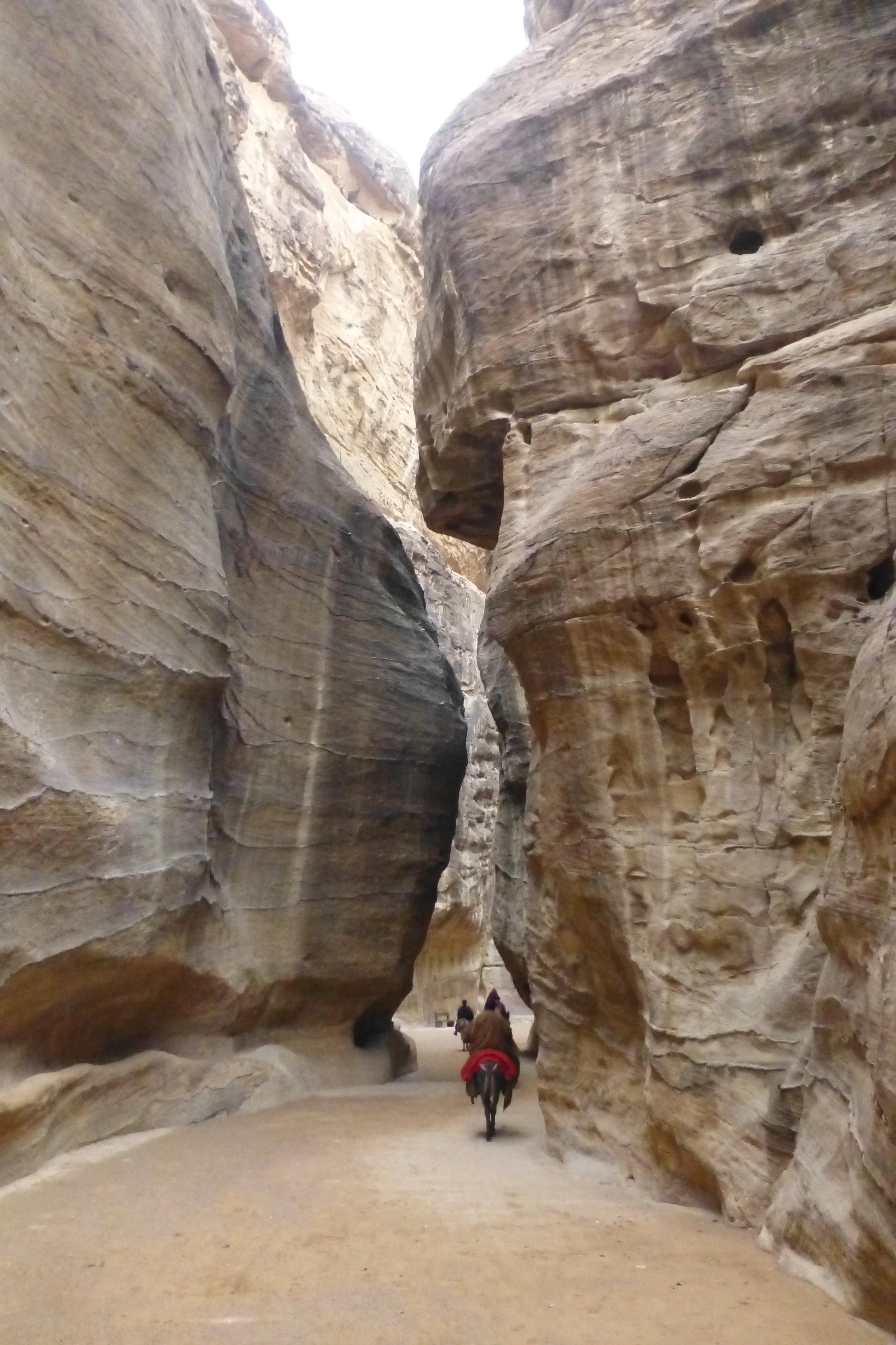 the siq