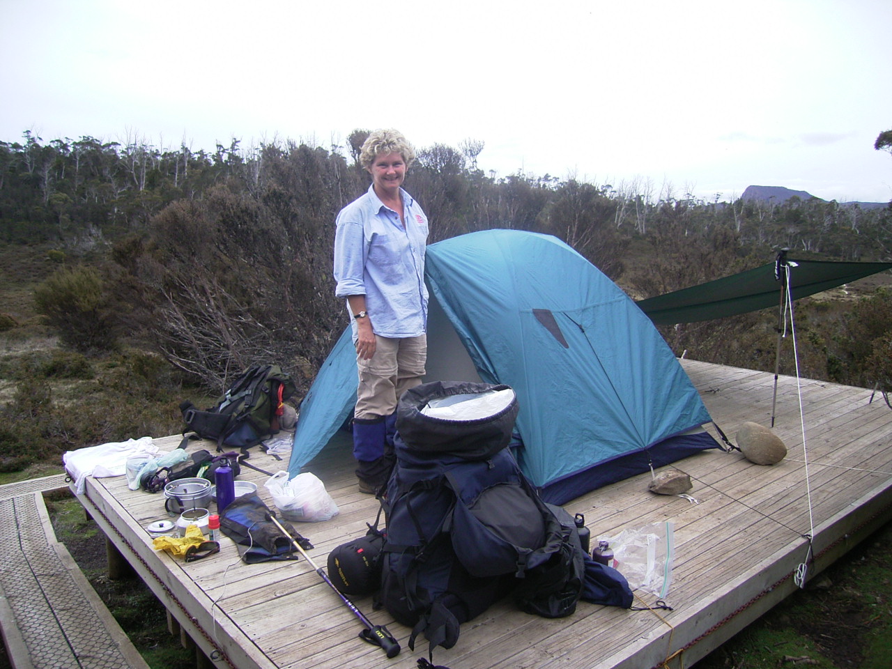 camping platform wild dog creek