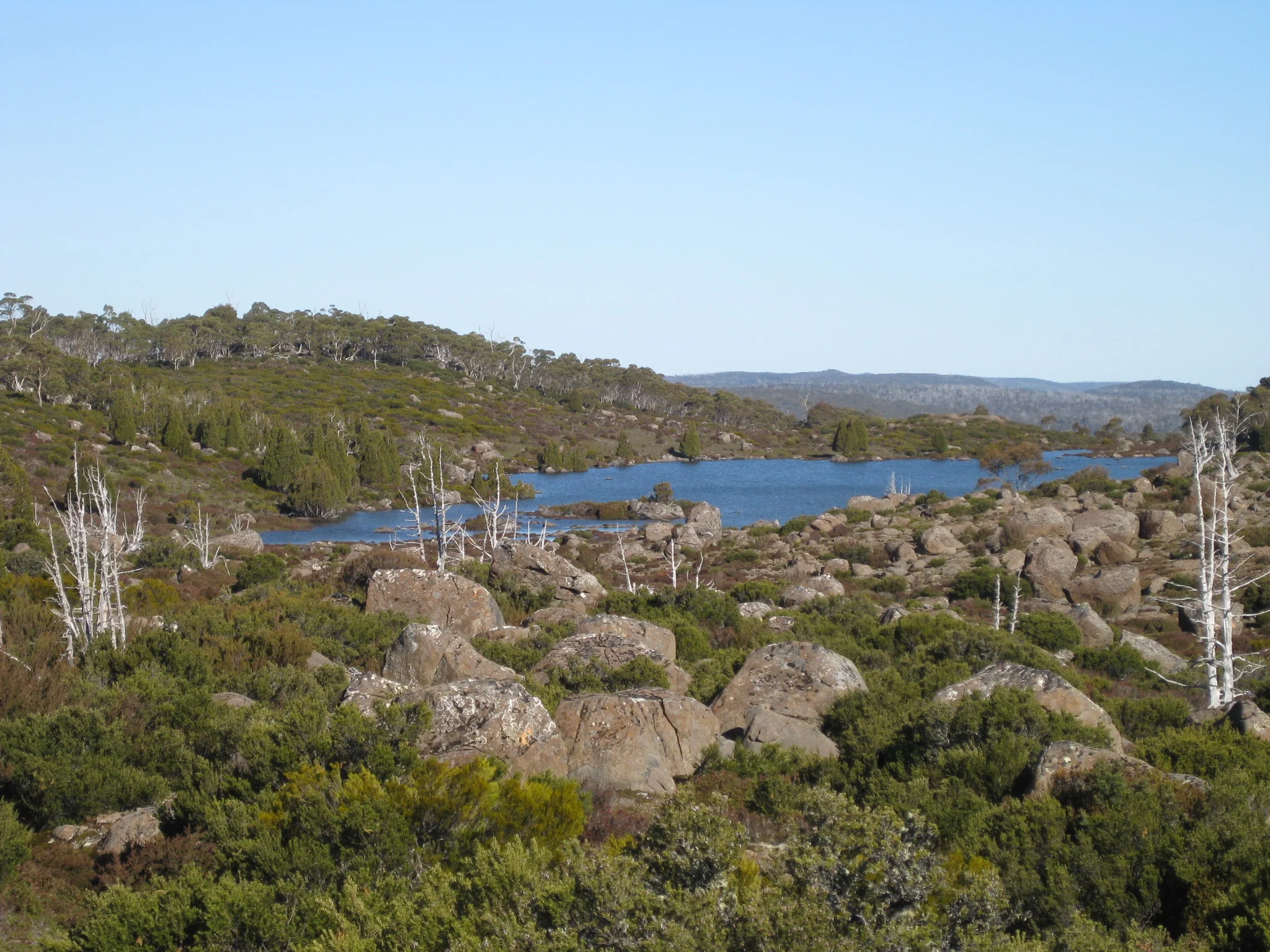 solomons jewels near to wild dog creek campsite