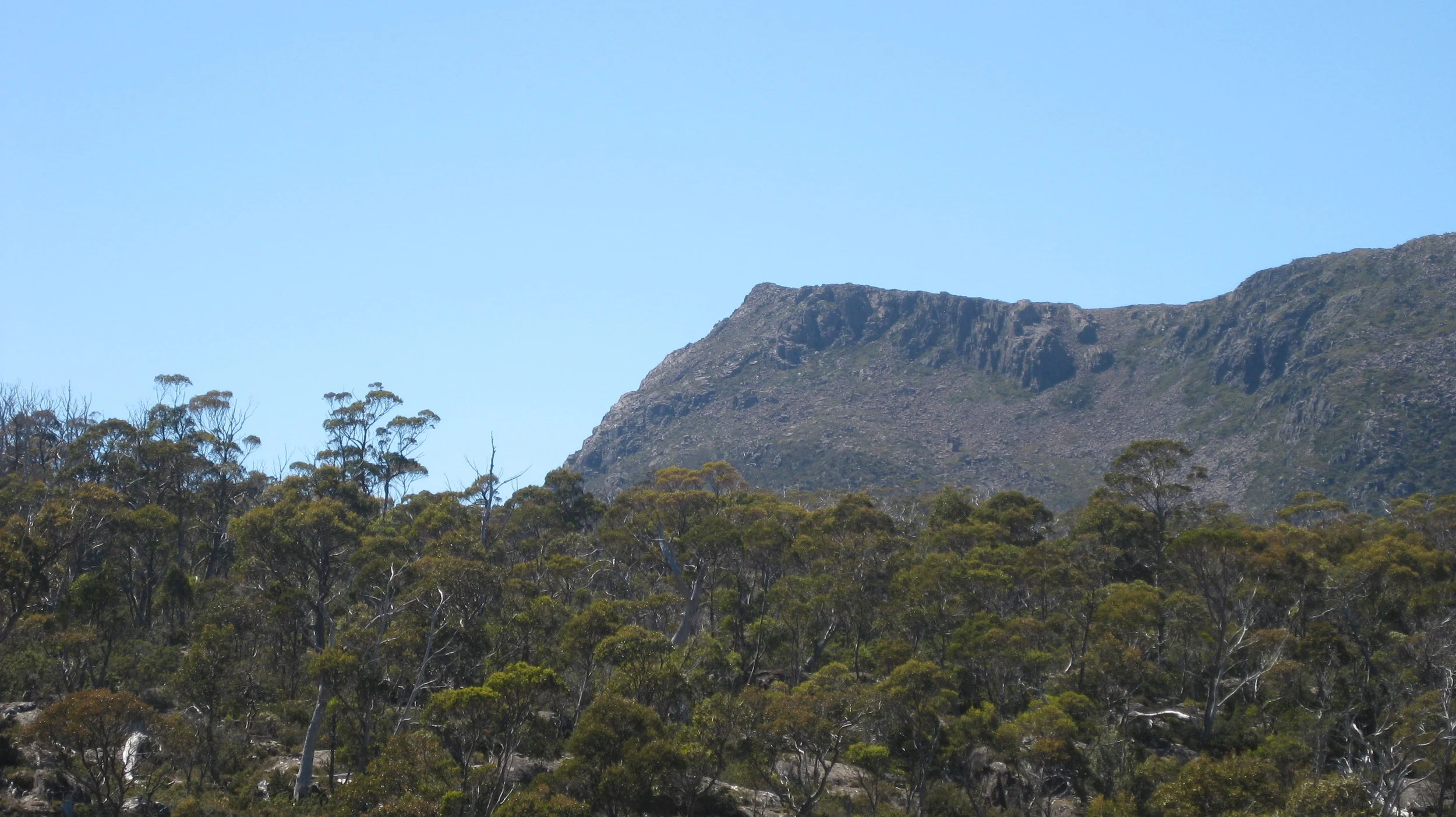 king davids peak from junction lake track