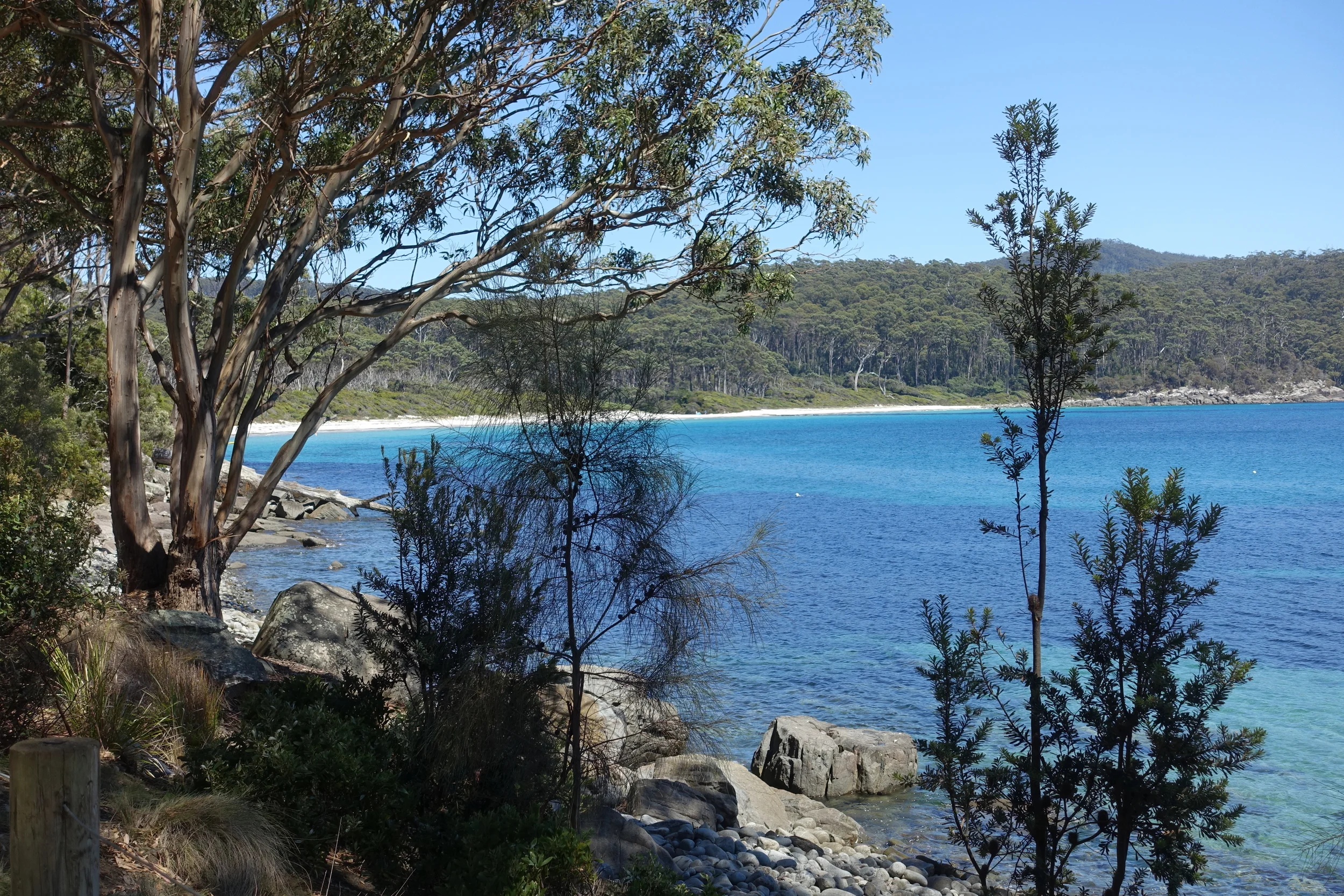 Looking back at Fortesque Bay