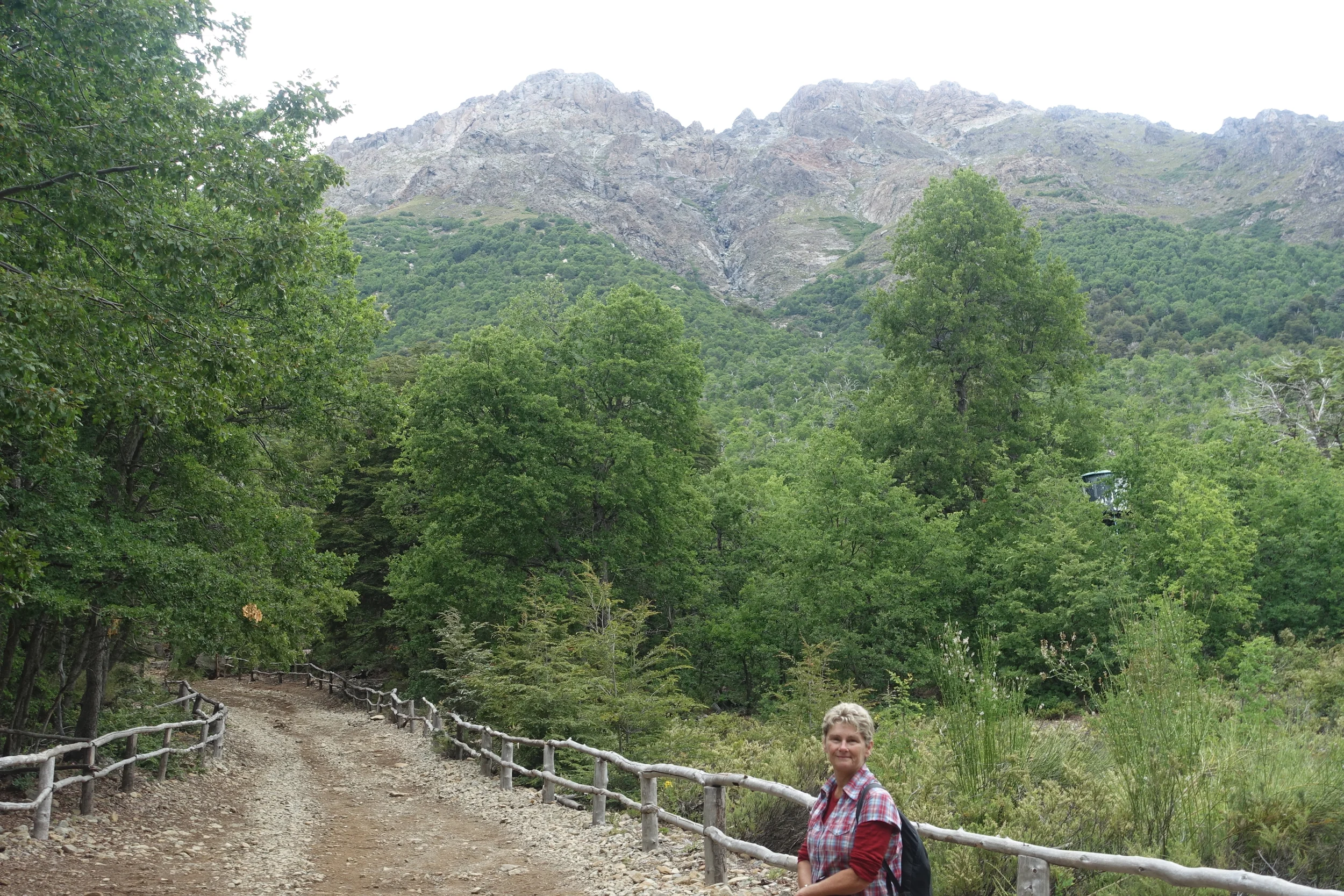 Altos de Lircay National Park