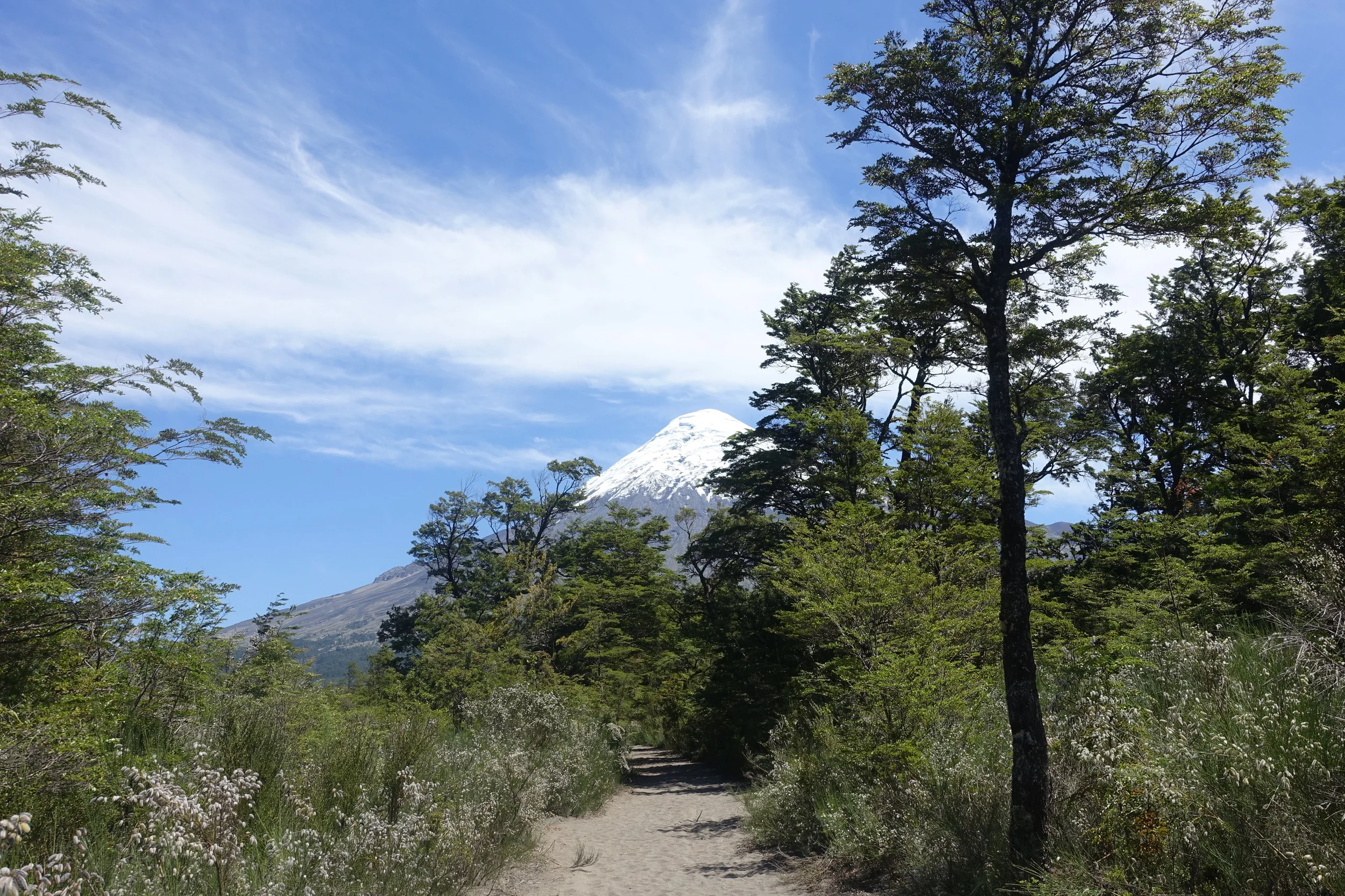 Paso Desolacion