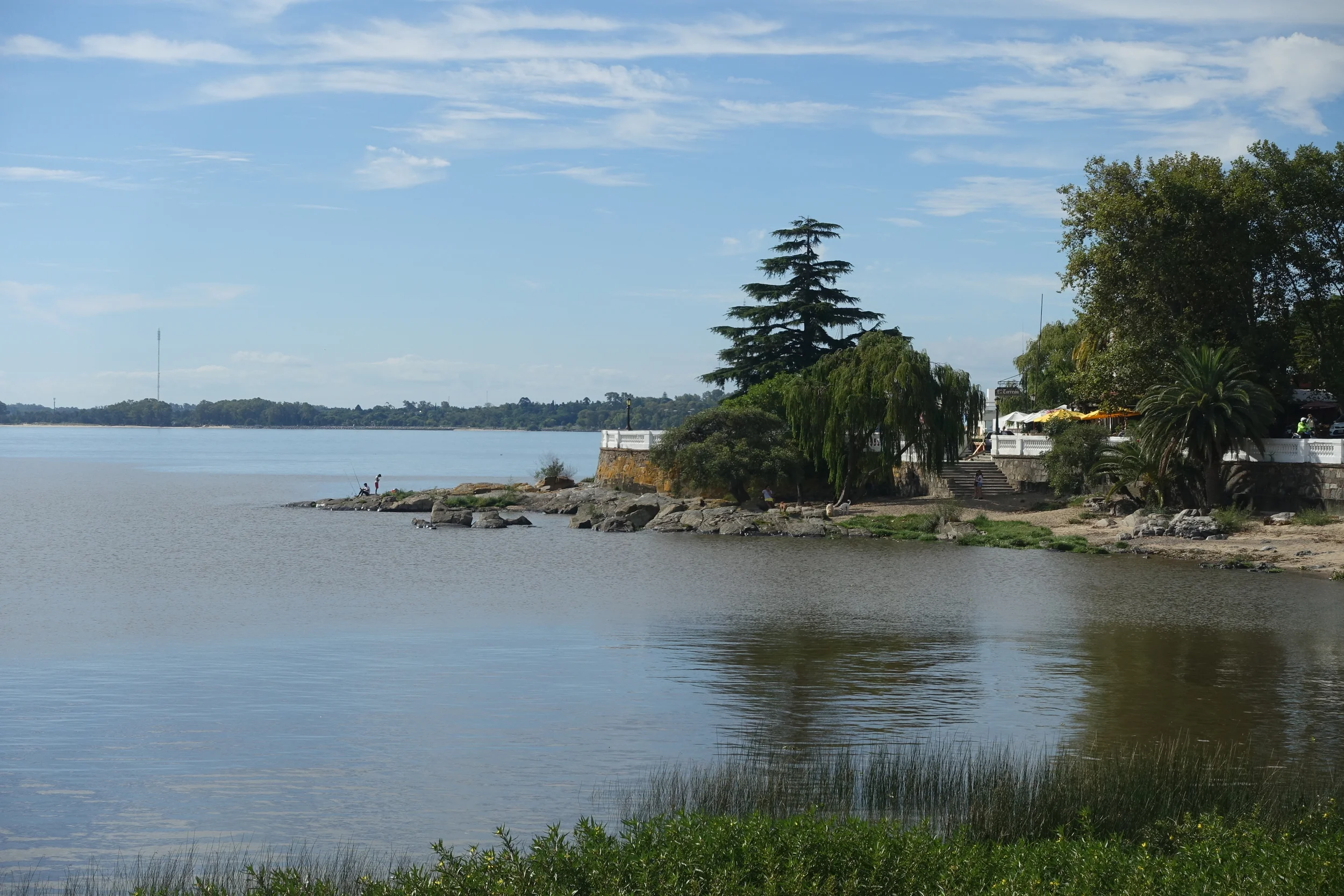 RIO PLATA, COLONIA