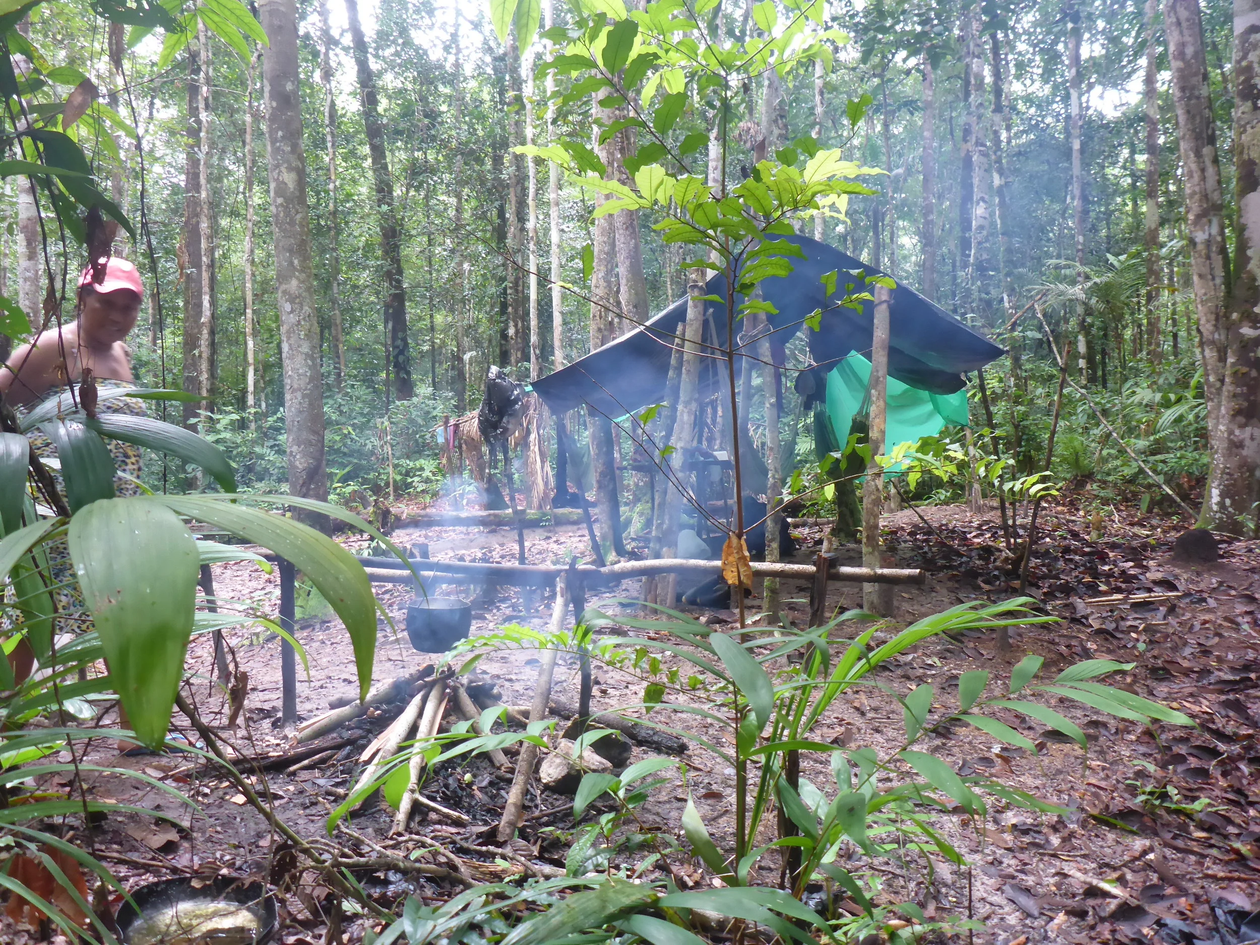 the bush camp