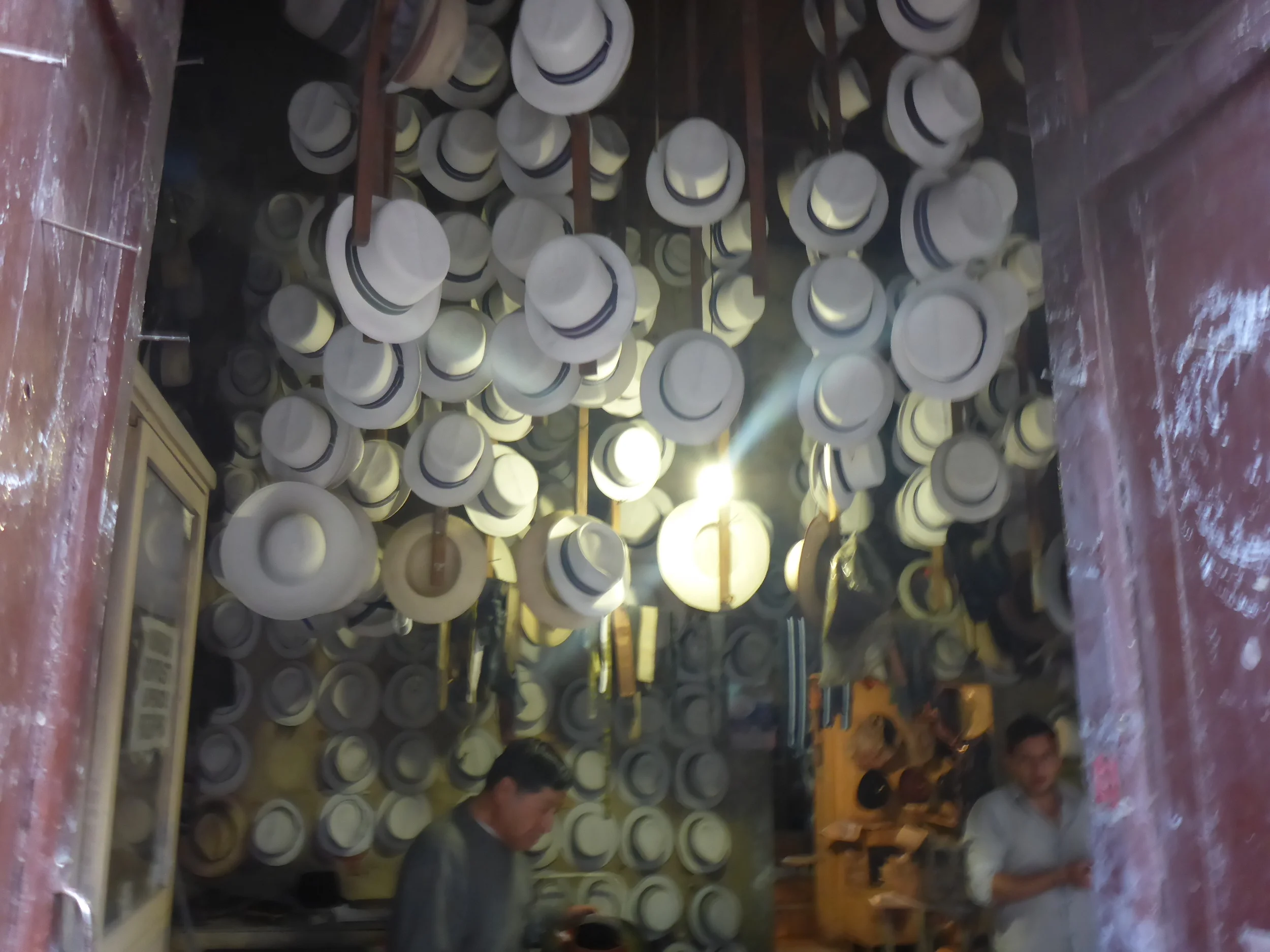 panama hats - cuenca