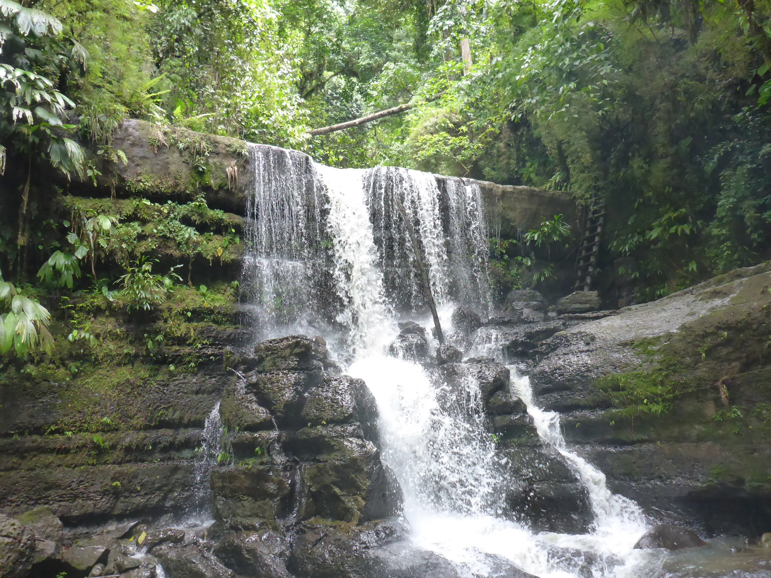 lower falls