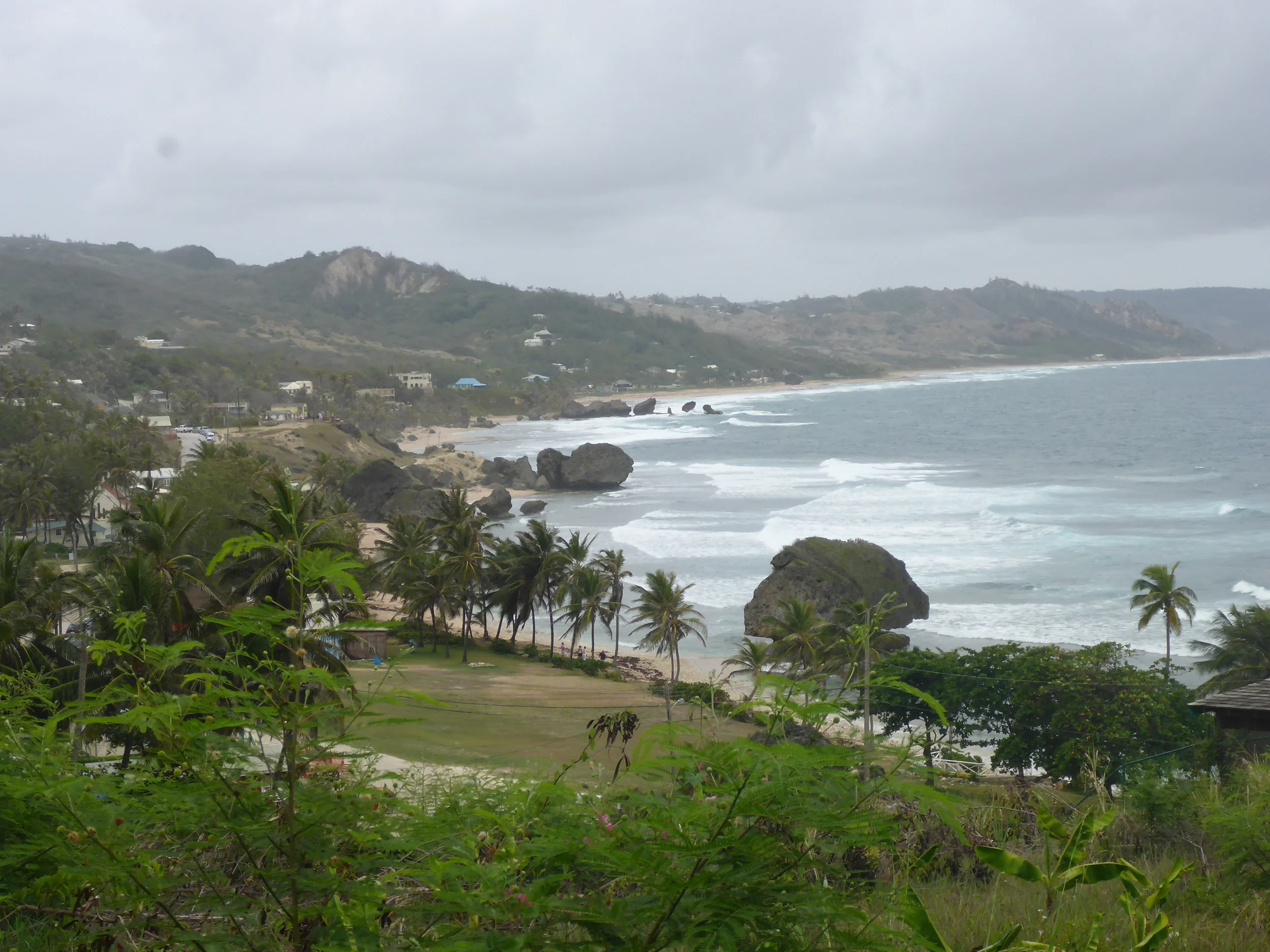 the coast at bathsheba