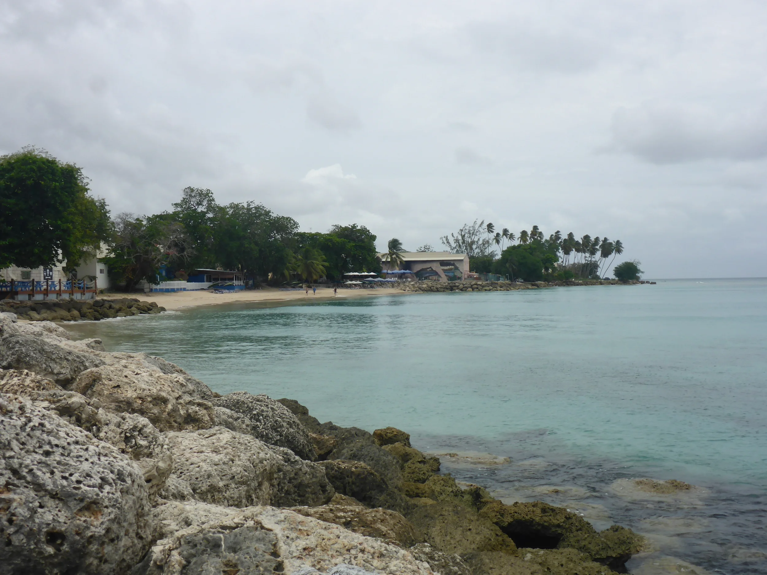 beach at speightstown