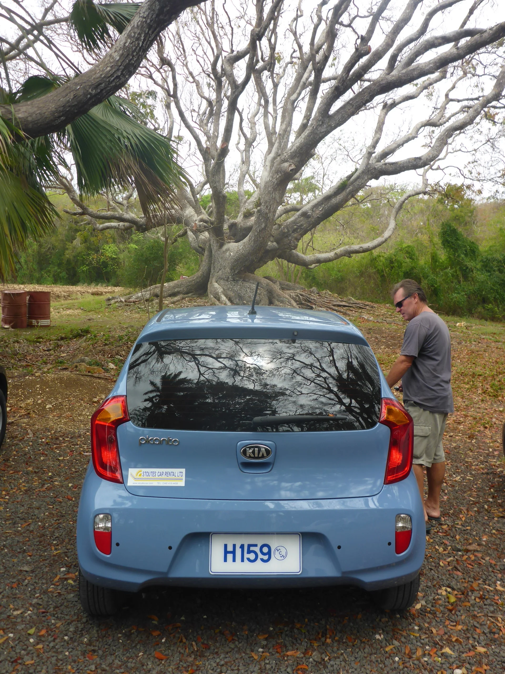 it doesn't have to be a big hire car