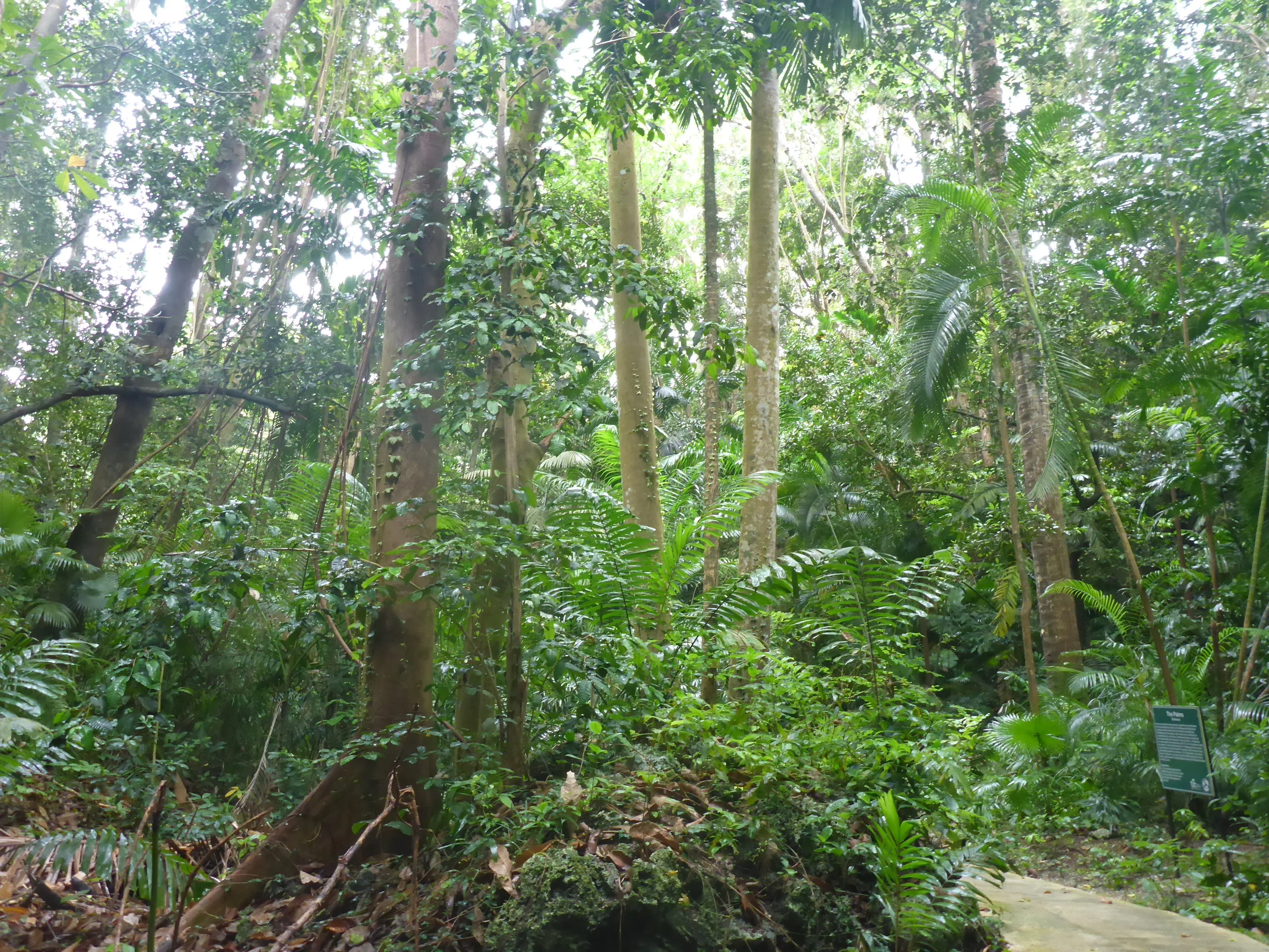 welchman hall gully