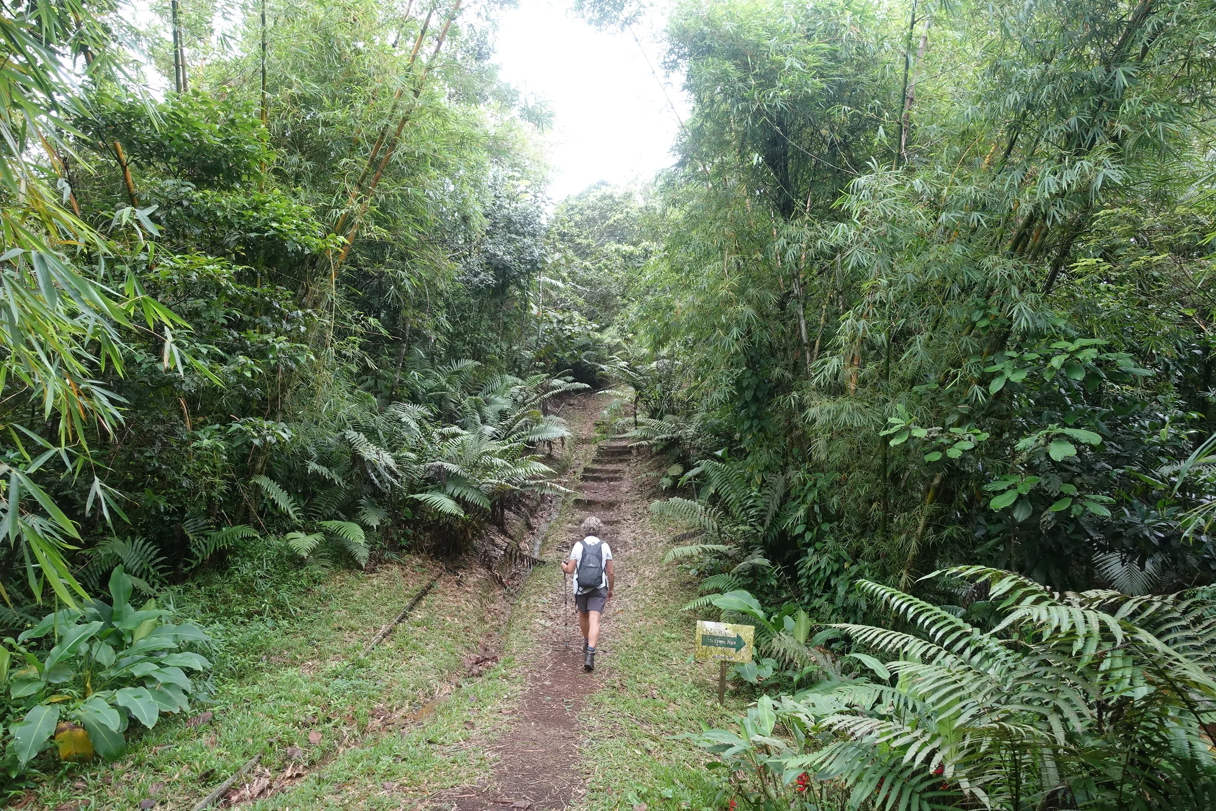 the walk to the viewpoint