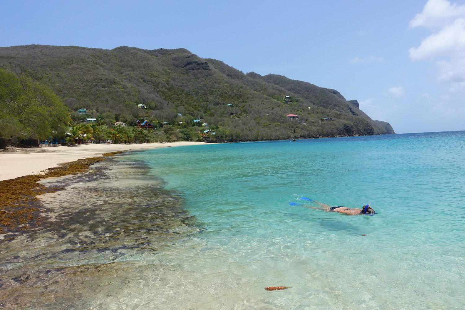 snorkelling at lower bay beach