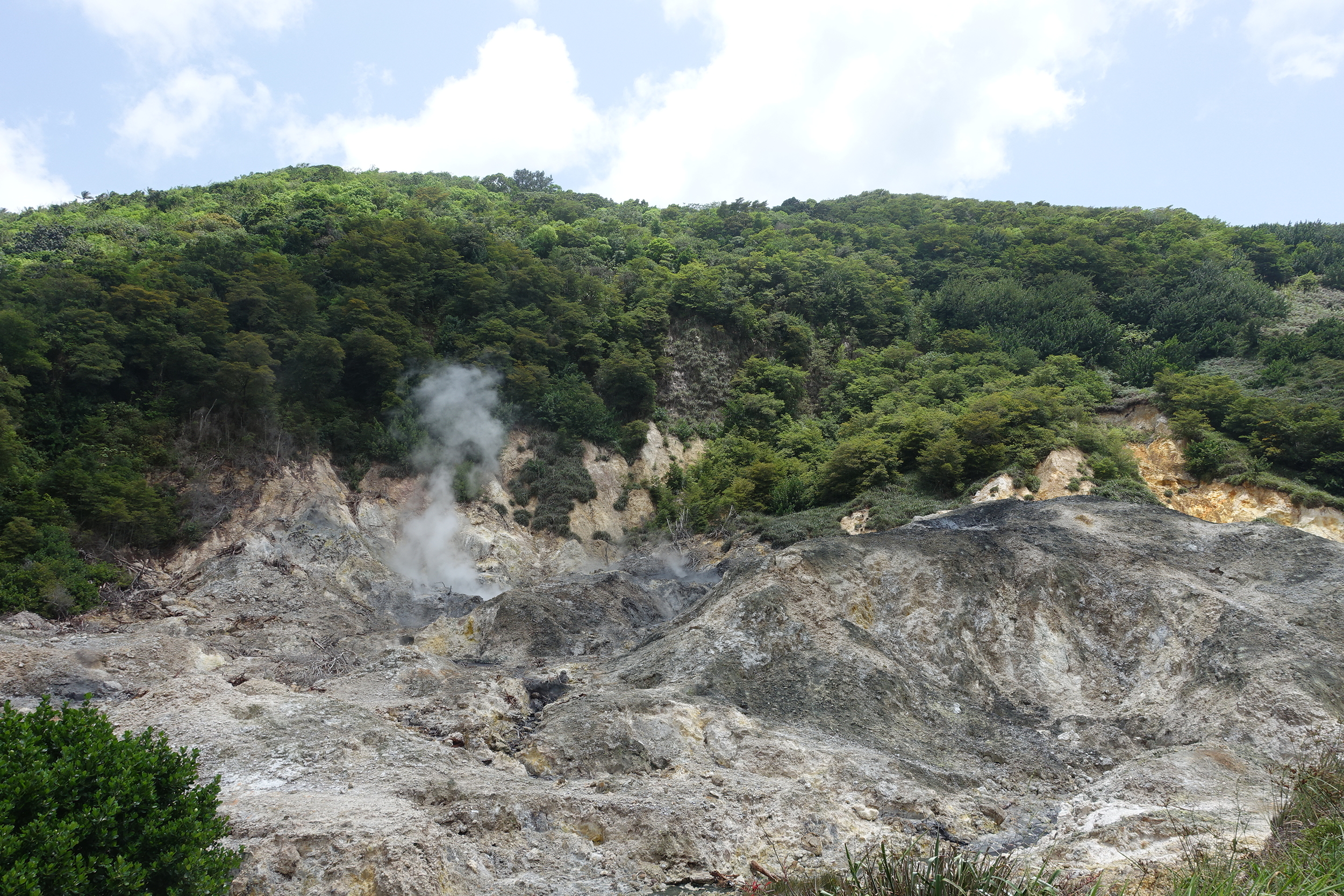 sulphur springs