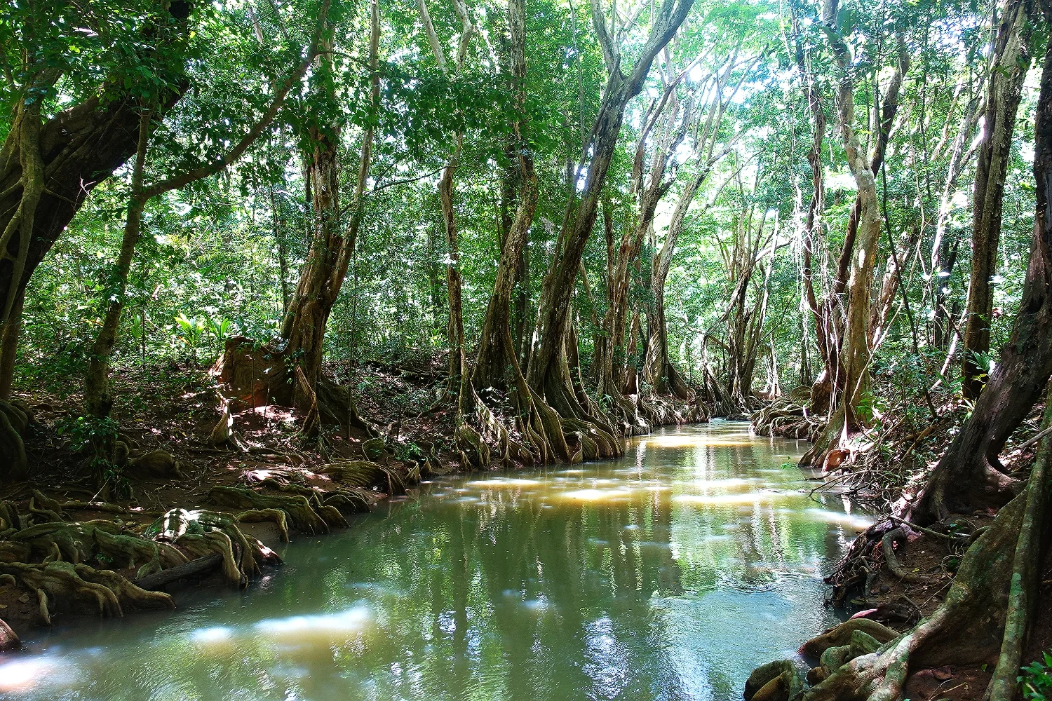 Indian River