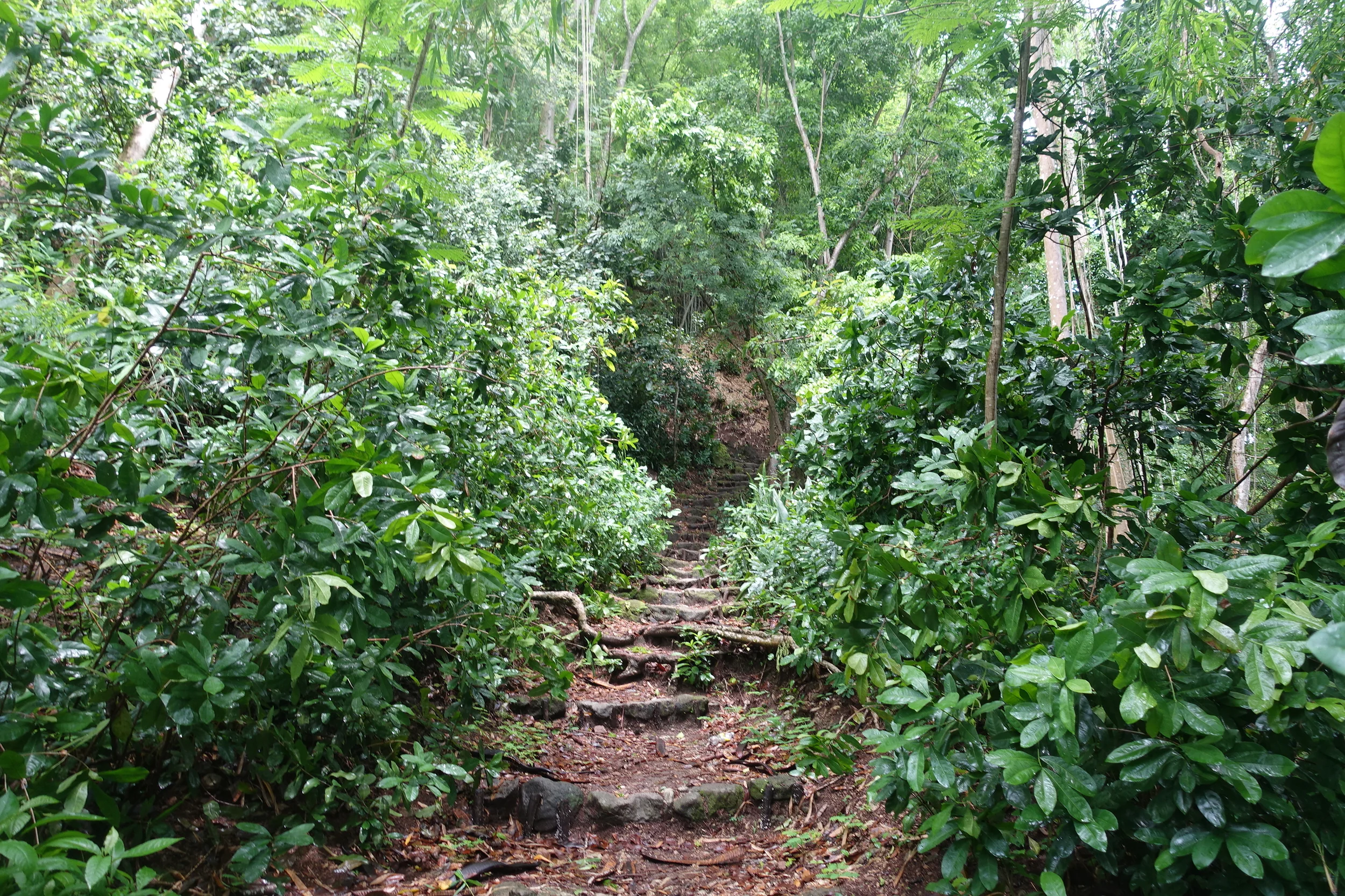 jack's walk
