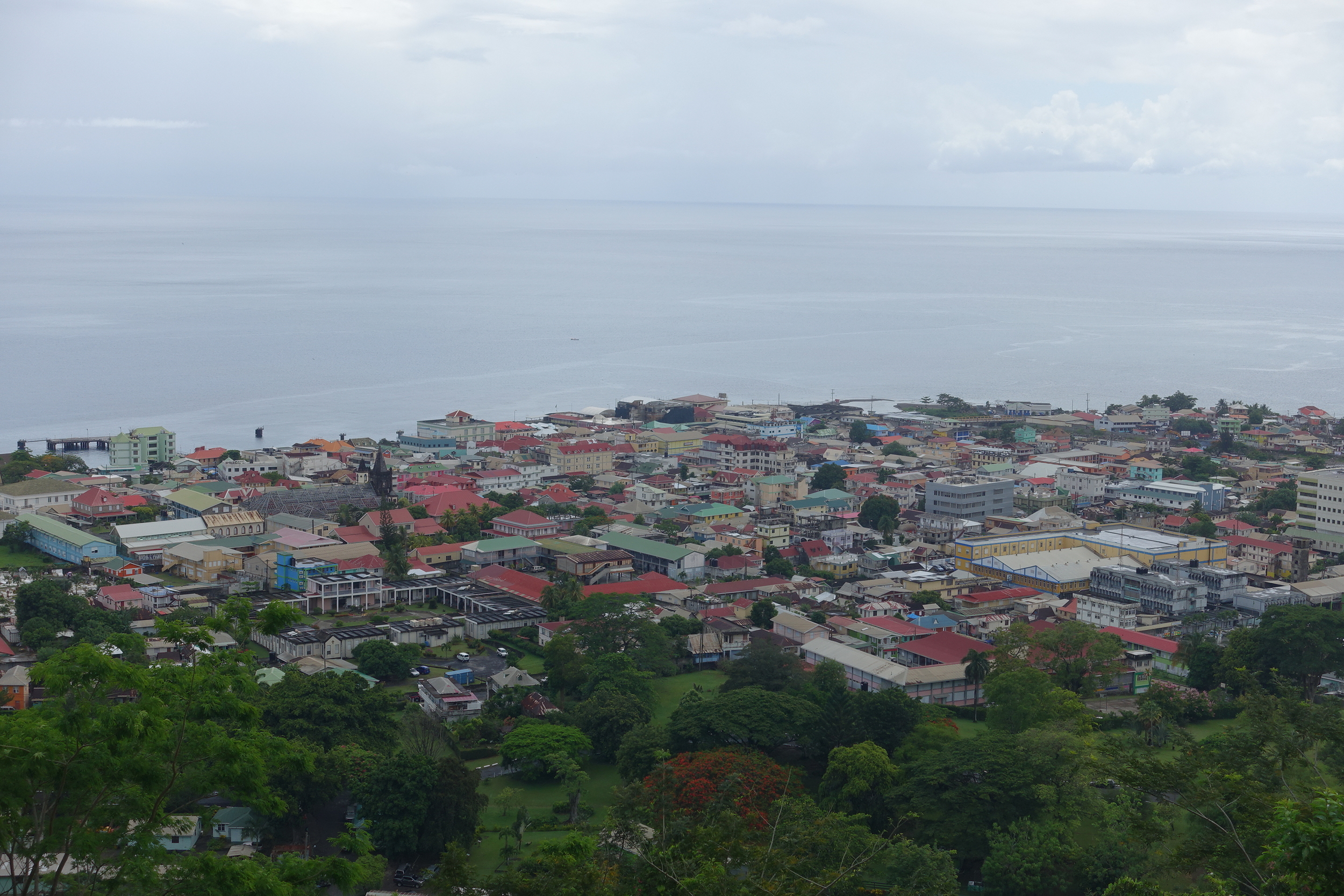 Roseau from the jack's walk viewpoint
