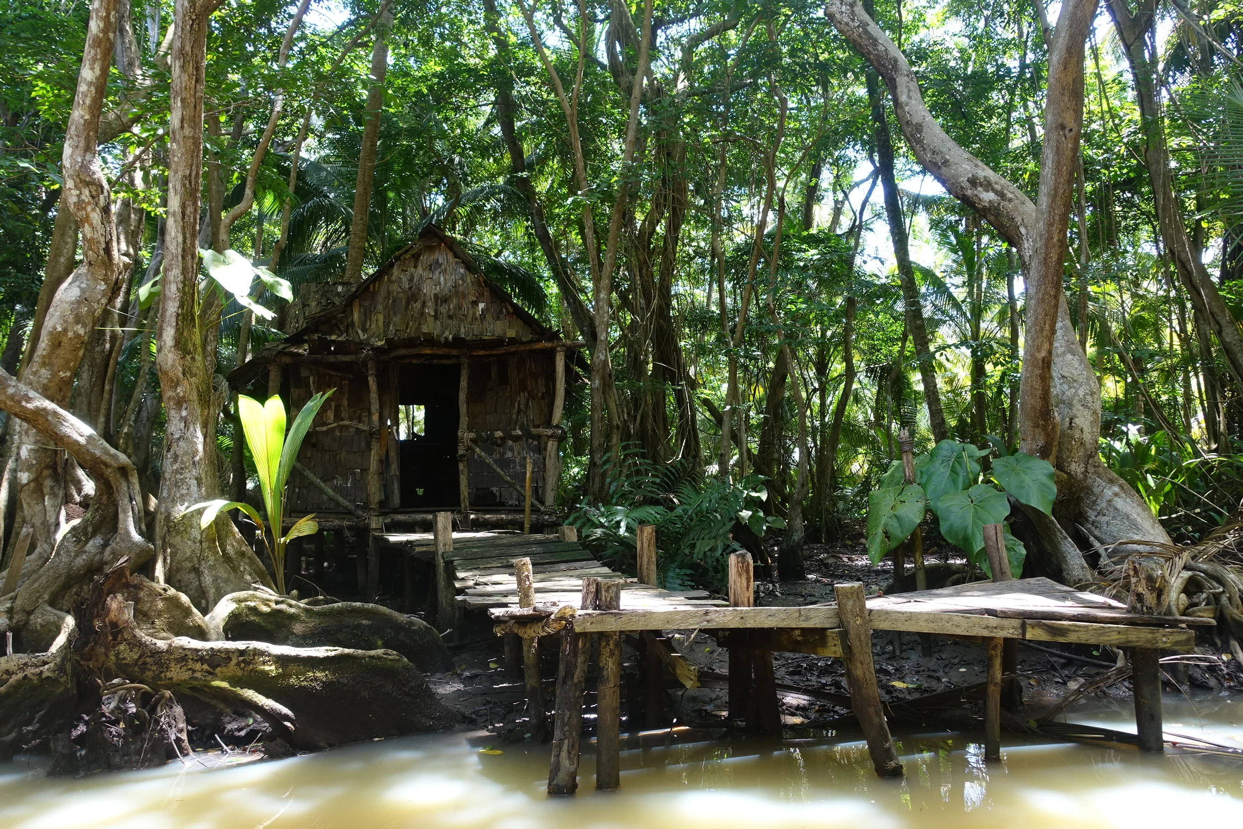 calypso's shack from pirates of the caribbean