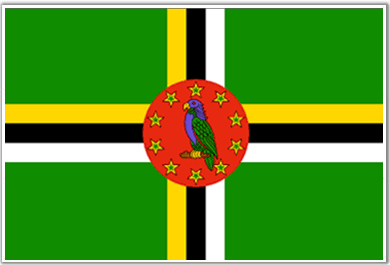 You've got to love a country that puts a parrot on it's national flag
