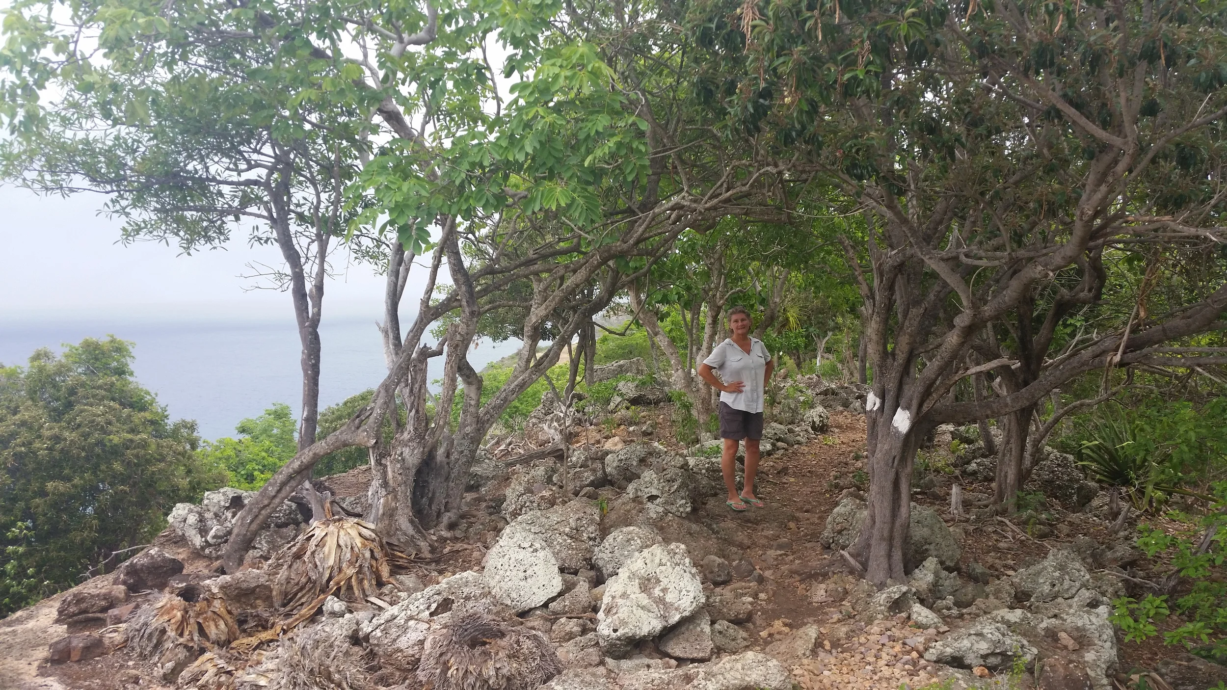 on the middle ground trail