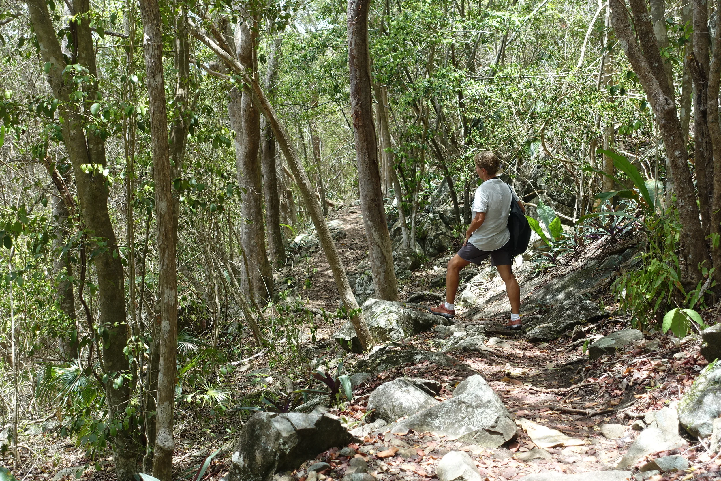 trekking on st john