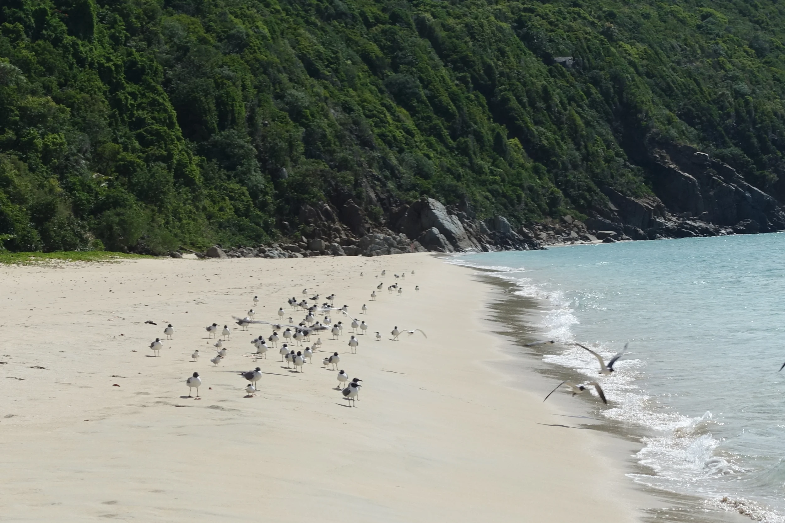 the lamber beach "crowd"