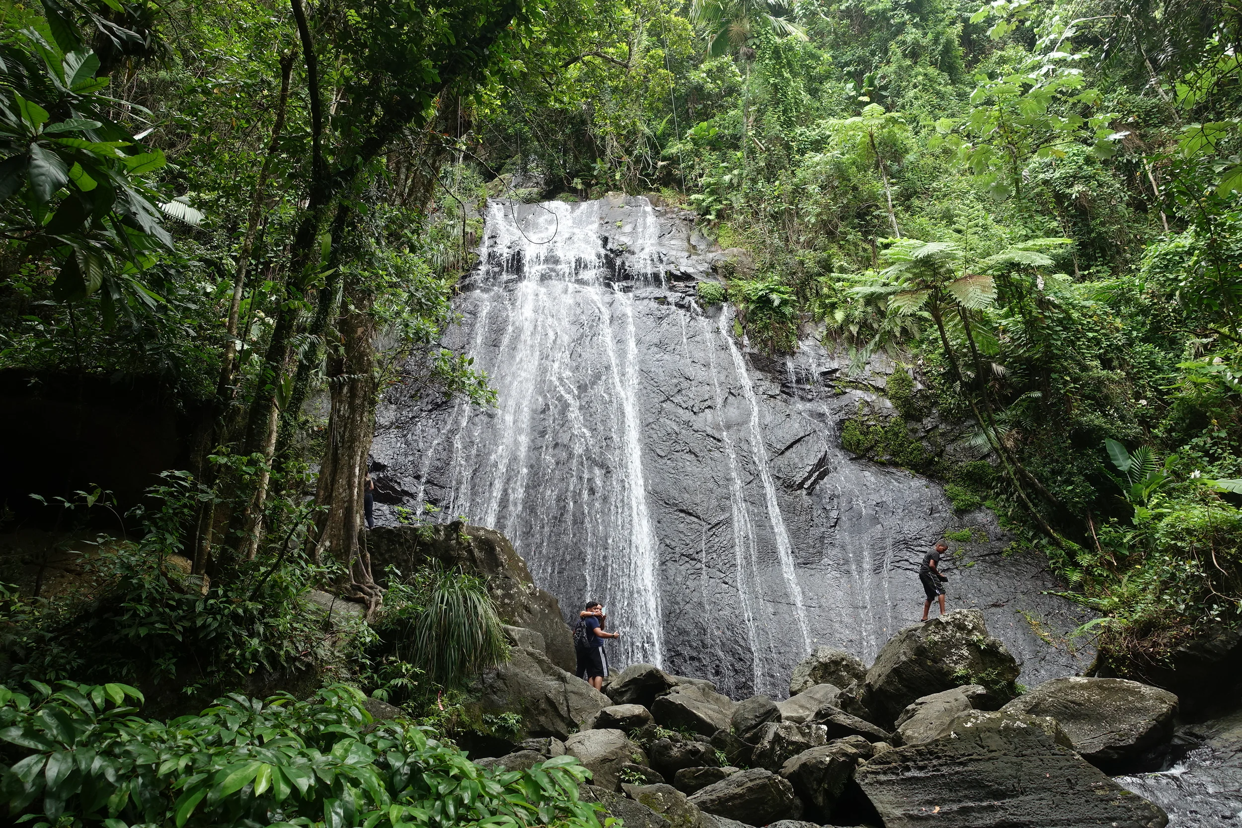 falls, el yunque