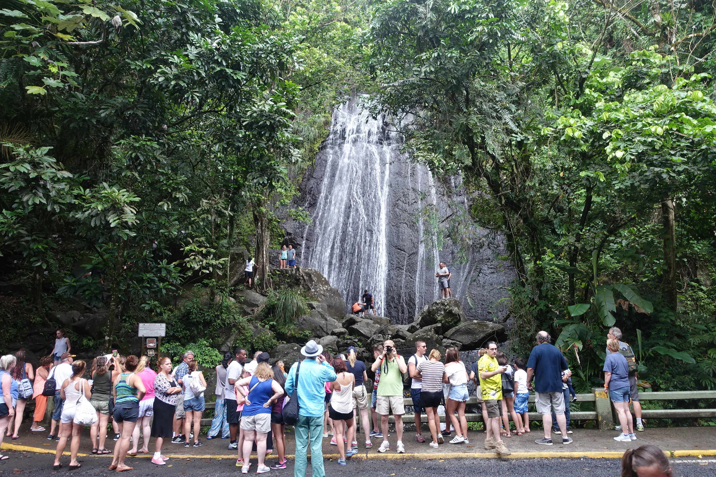 same falls as above after a couple of tour buses arrived