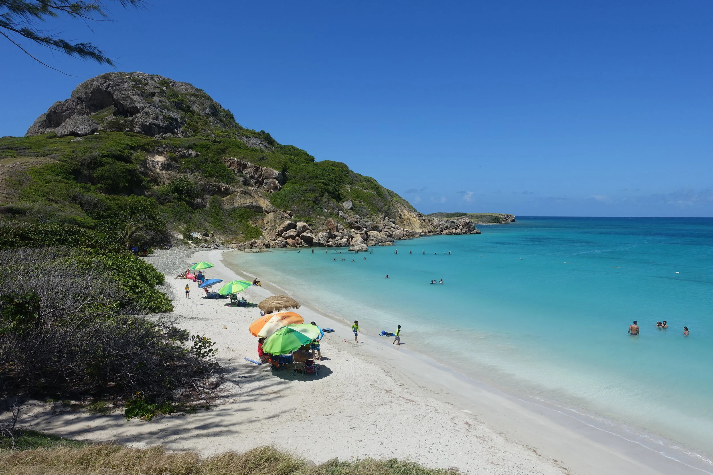 pelican beach