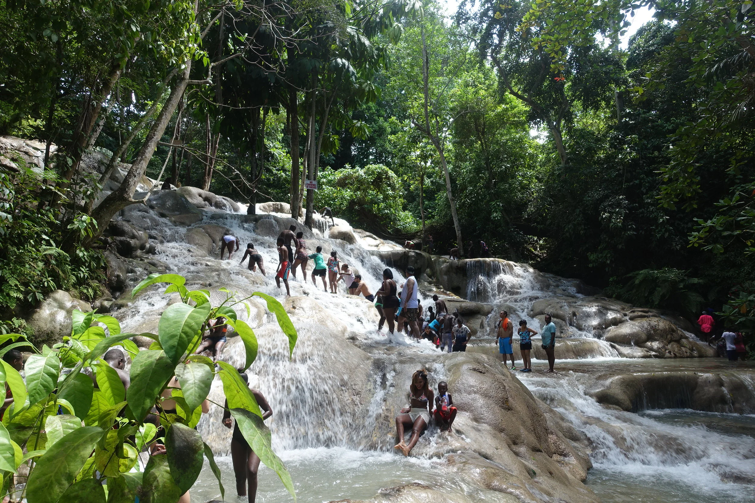 scaling dunn's river falls
