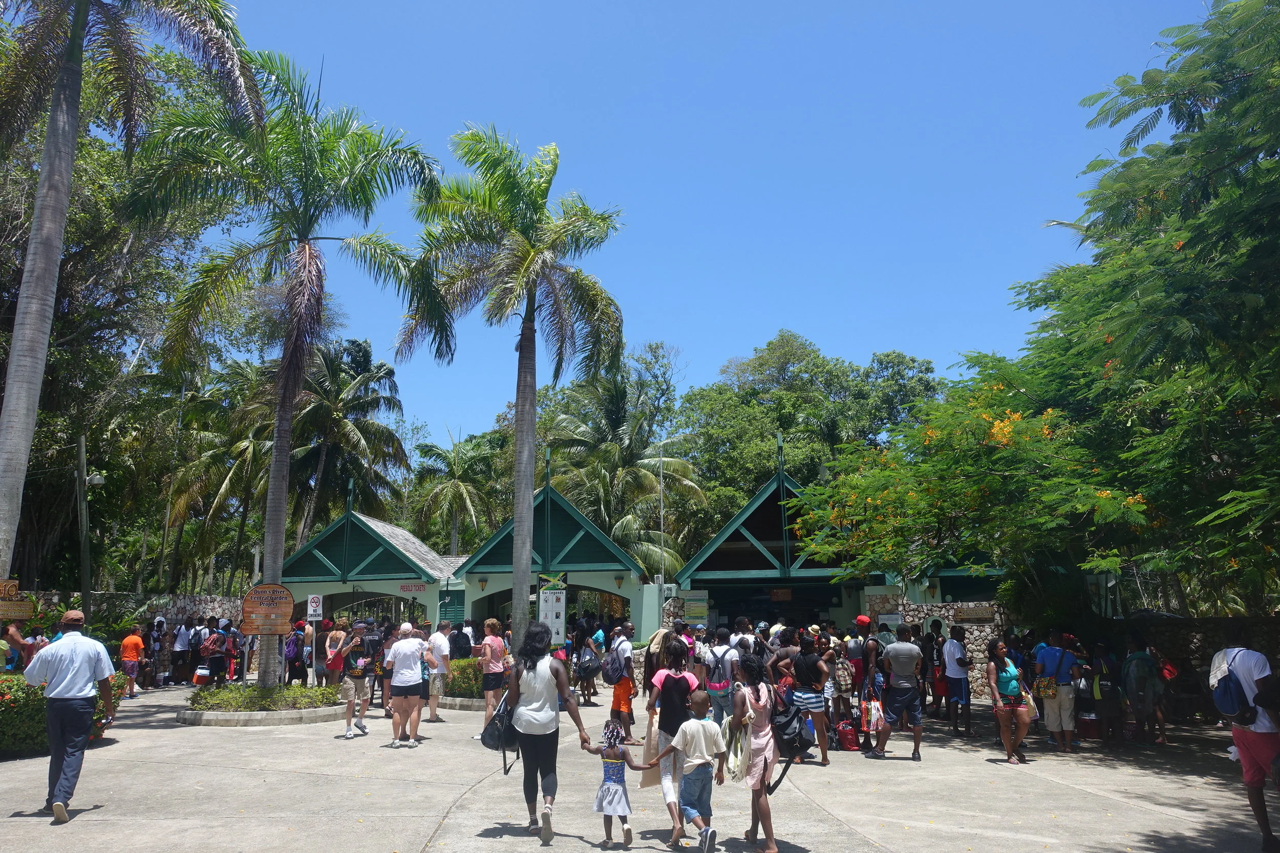 the entrance to dunn's river falls